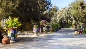 Un sentier bordé de pots en céramique aux couleurs vives et de plantes en pot, qui traverse un jardin où s’élèvent de grands arbres et où le ciel est dégagé.
