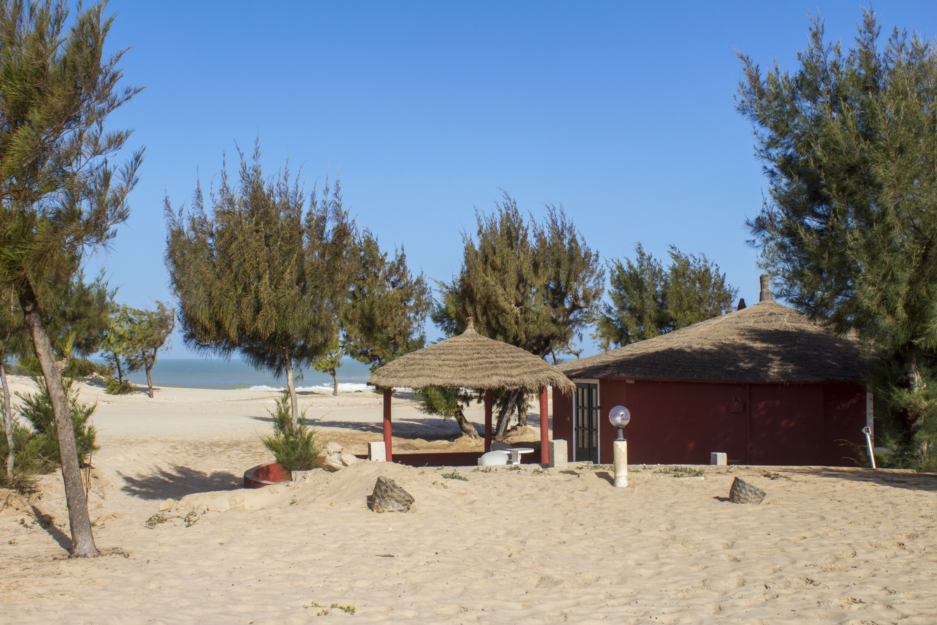 A beach with a thatched-roof hut and a red building, surrounded by pine trees and sandy terrain.