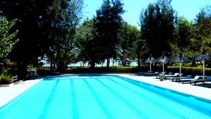 Une piscine entourée d’arbres, avec des chaises longues et des parasols.