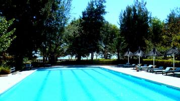 Outdoor pool, pool umbrellas, pool loungers
