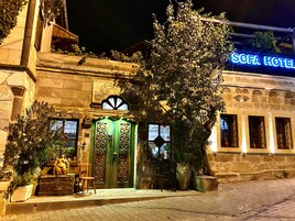 A historic building with ornate doors and a large tree in front.