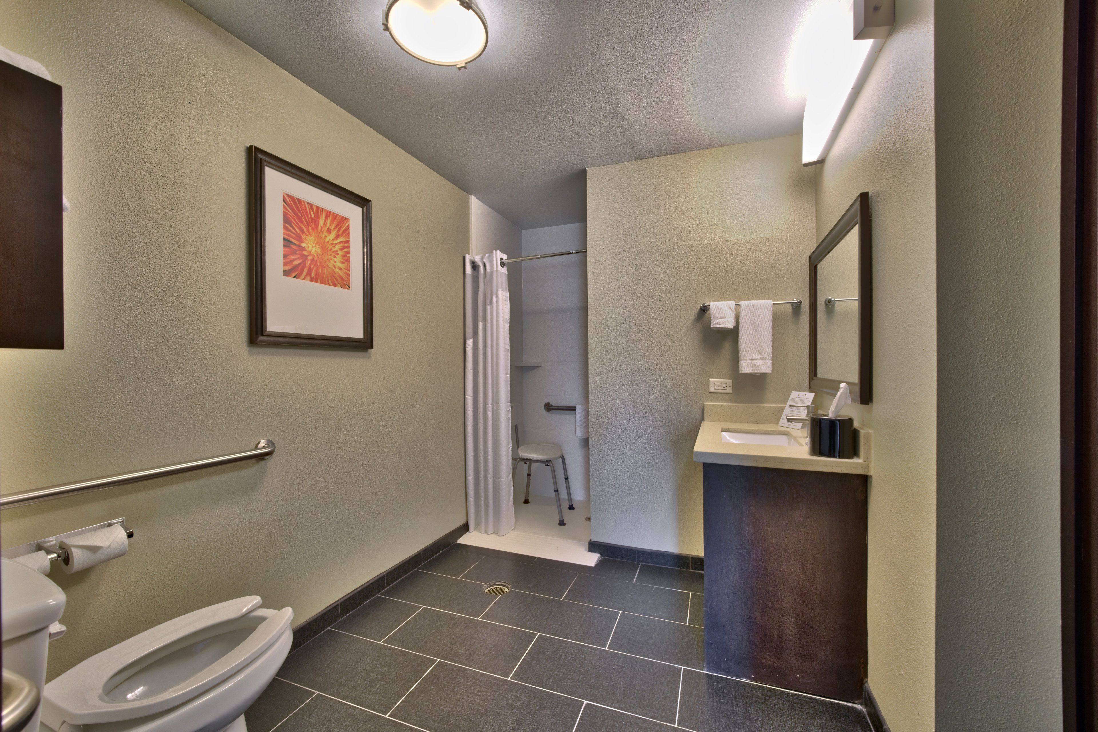 Une salle de bain avec des toilettes, un lavabo, une douche et un tableau encadré au mur.
