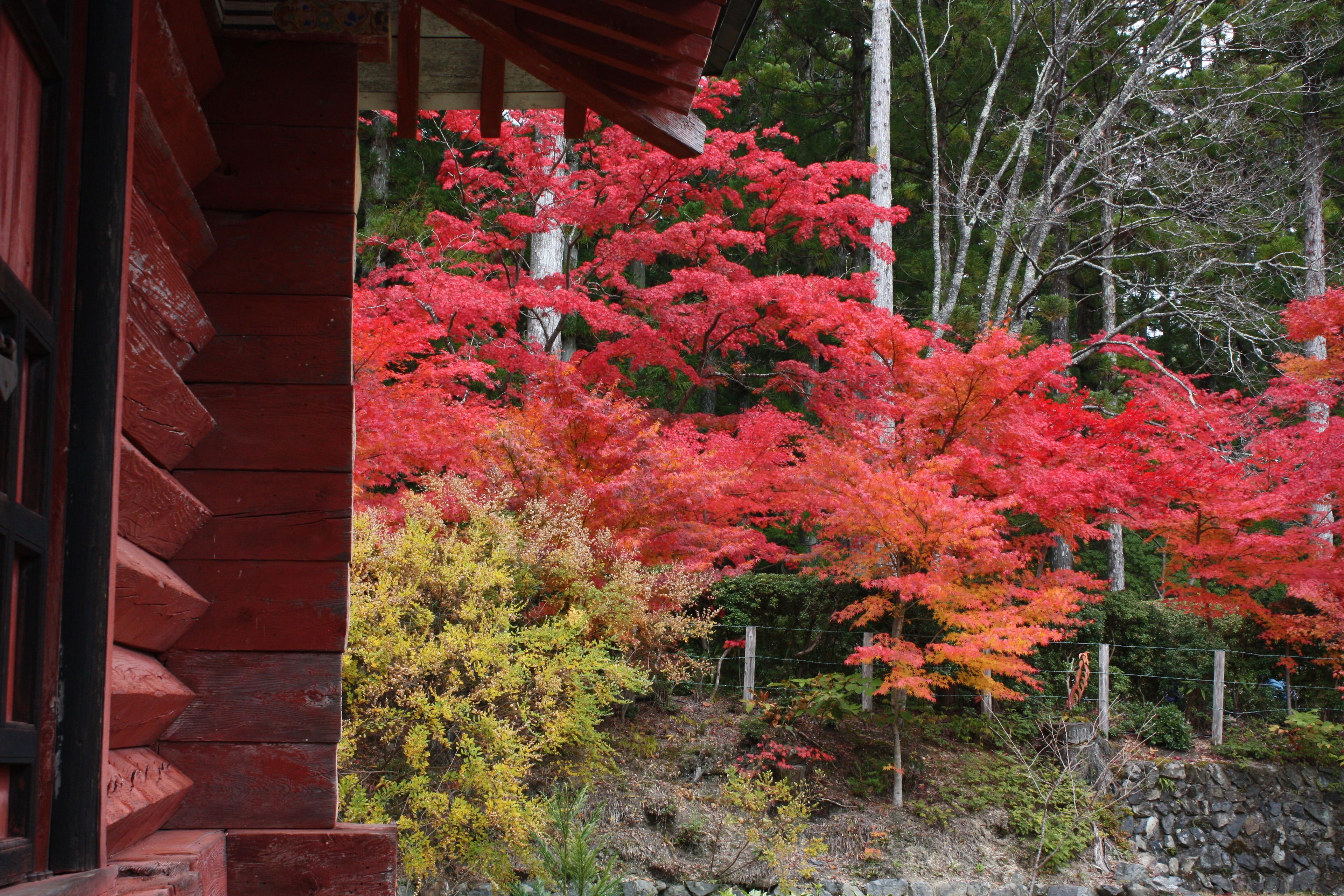 Un bâtiment japonais traditionnel, avec une façade en bois et une base en pierre.
