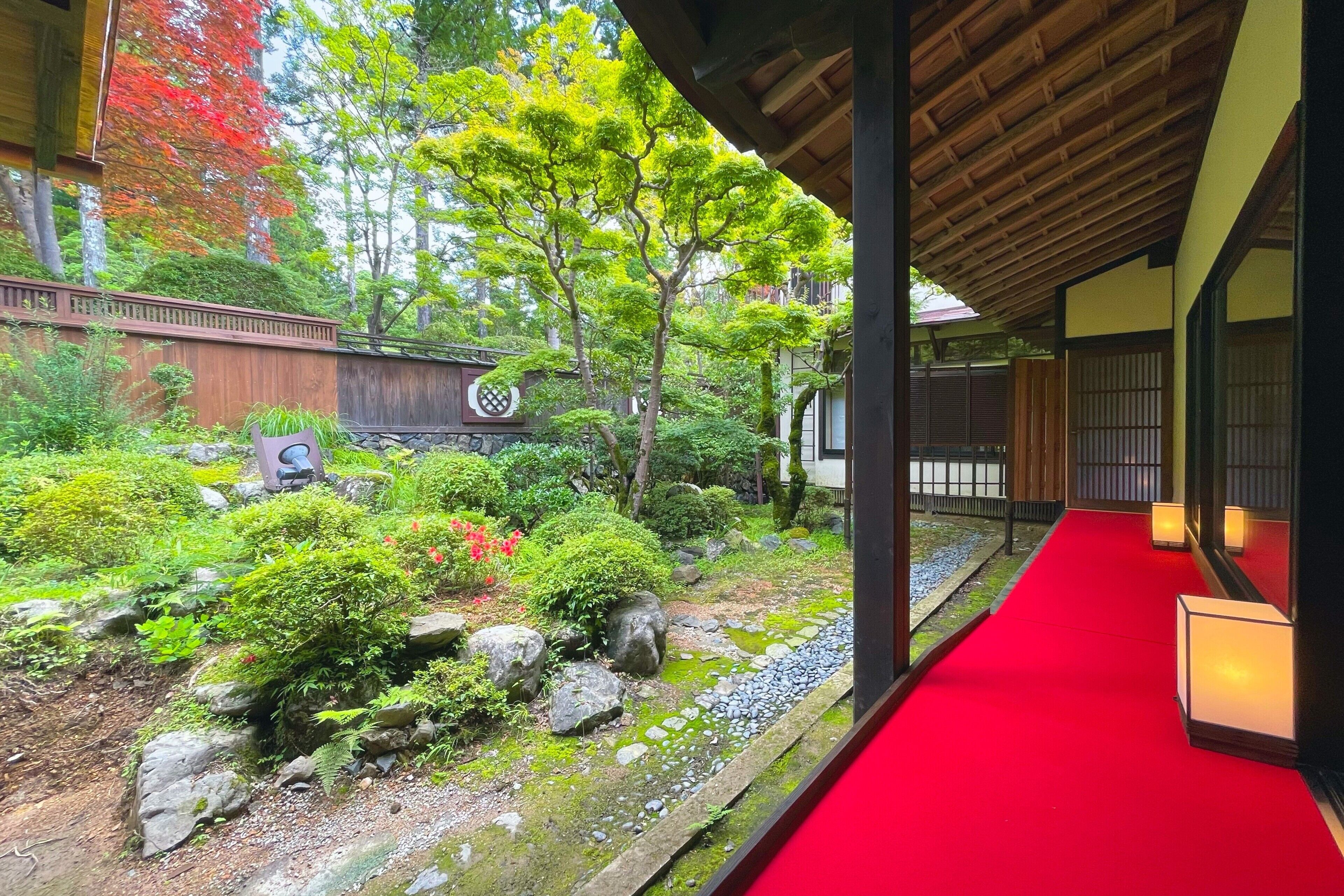 奢华套房 | 客房景观