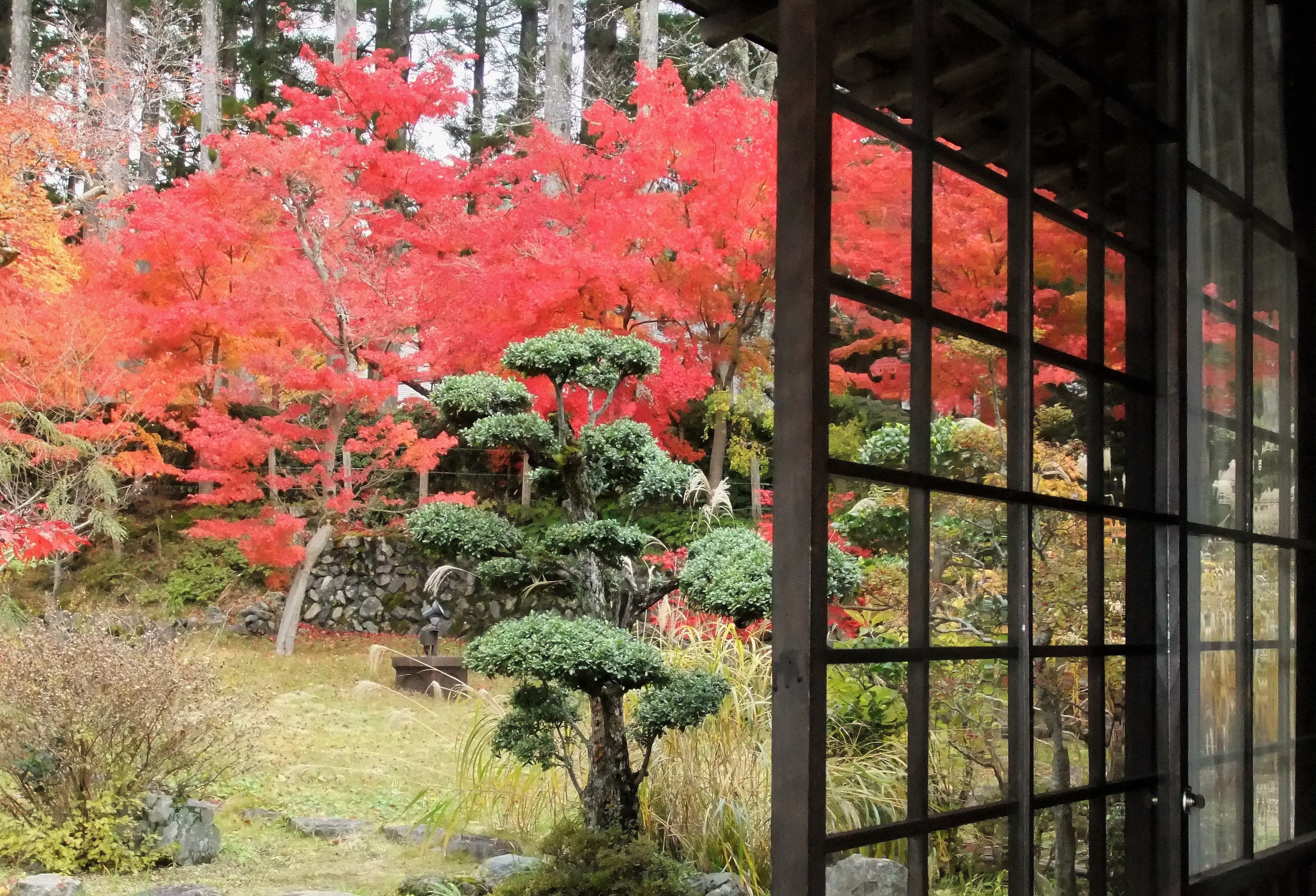 Una habitación tradicional japonesa con suelo de tatami, un celosía de papel y vistas a un jardín con follaje rojo.