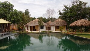 A pool area with thatched-roof huts, a clear pool, and surrounding greenery.