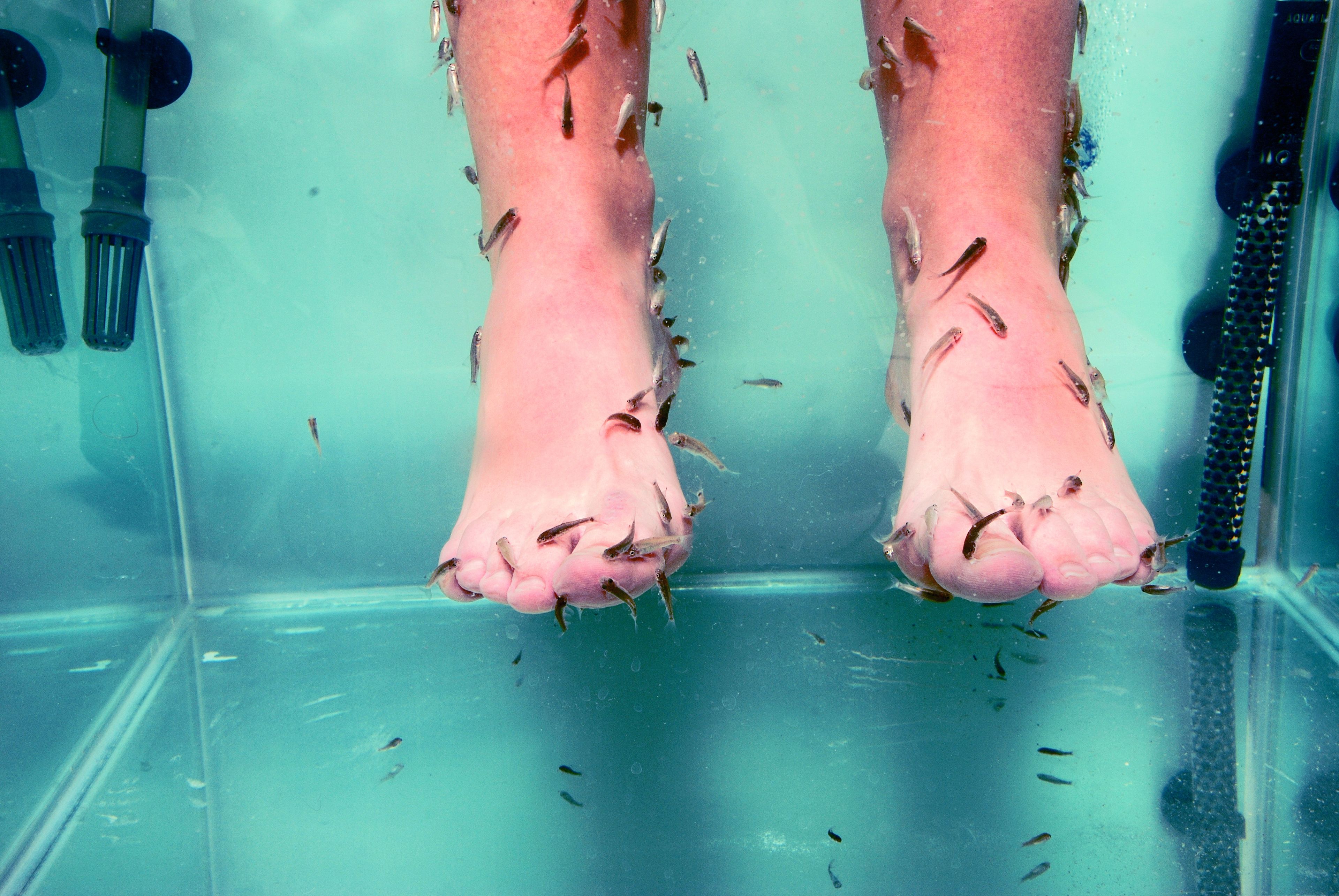 Füße eines Menschen liegen im Wasser, umgeben von vielen kleinen Fischen.