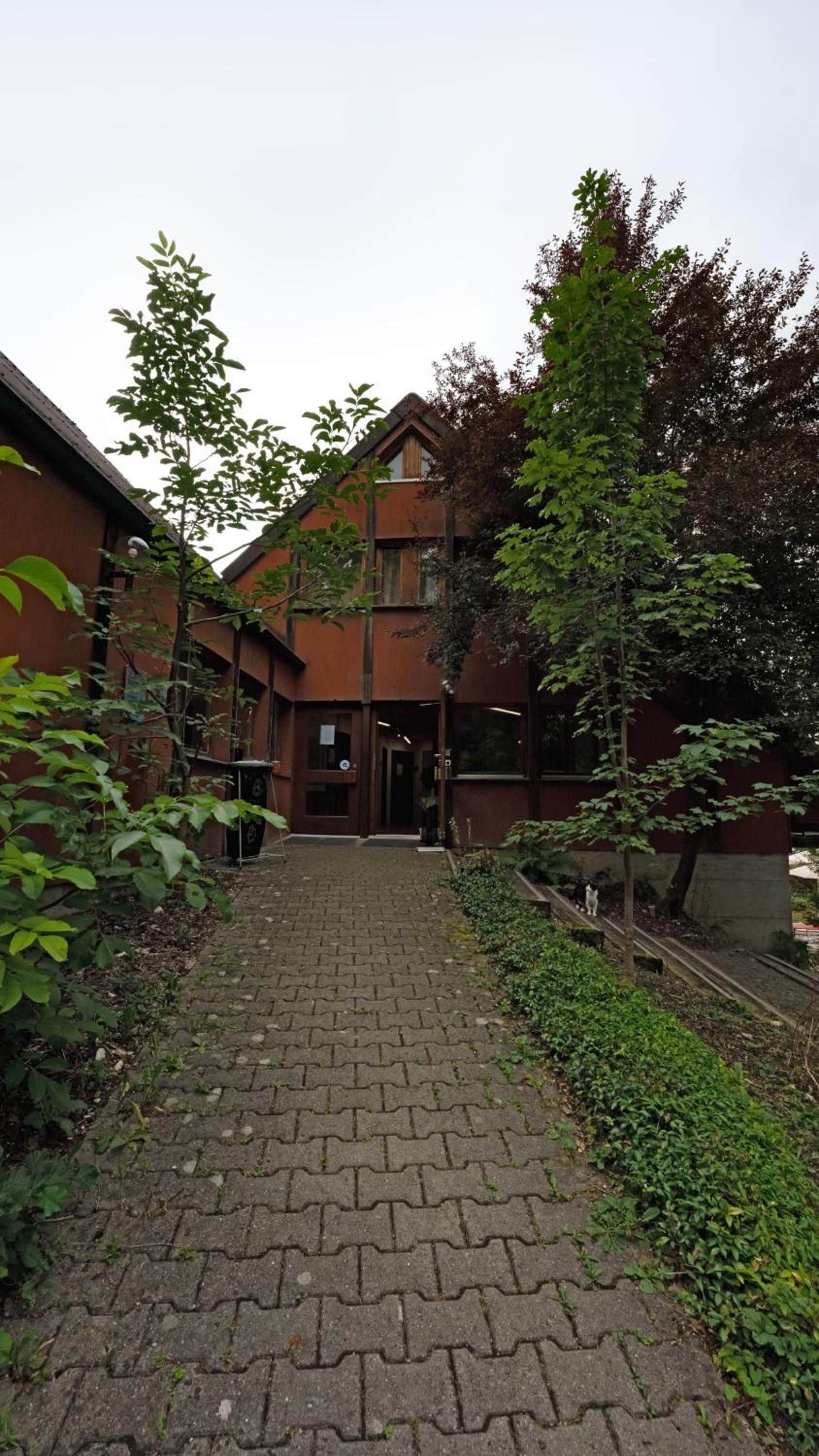 A paved pathway leading to a building with a brown facade and multiple windows.