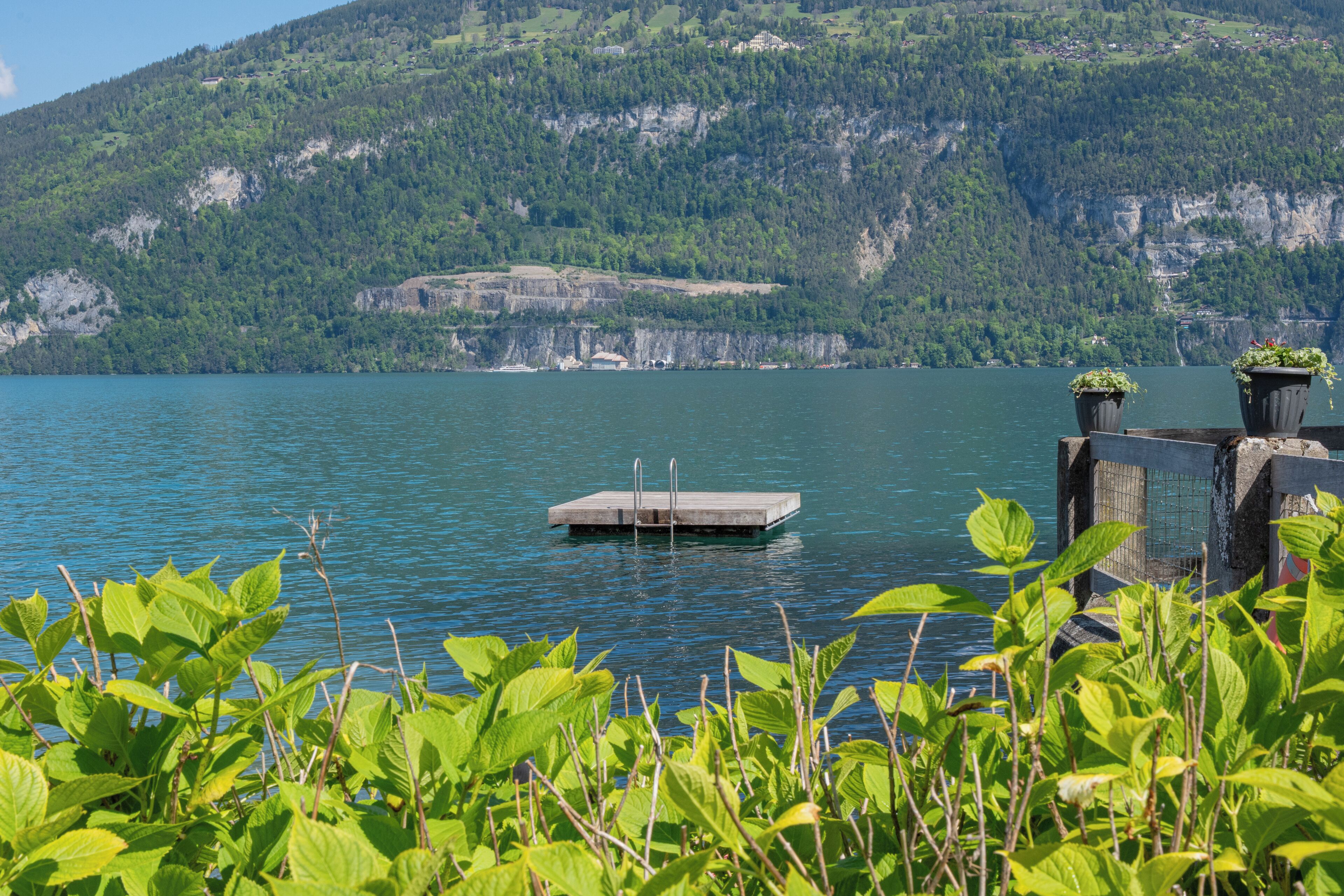 A dock extending into a calm lake with a forested mountain in the background.