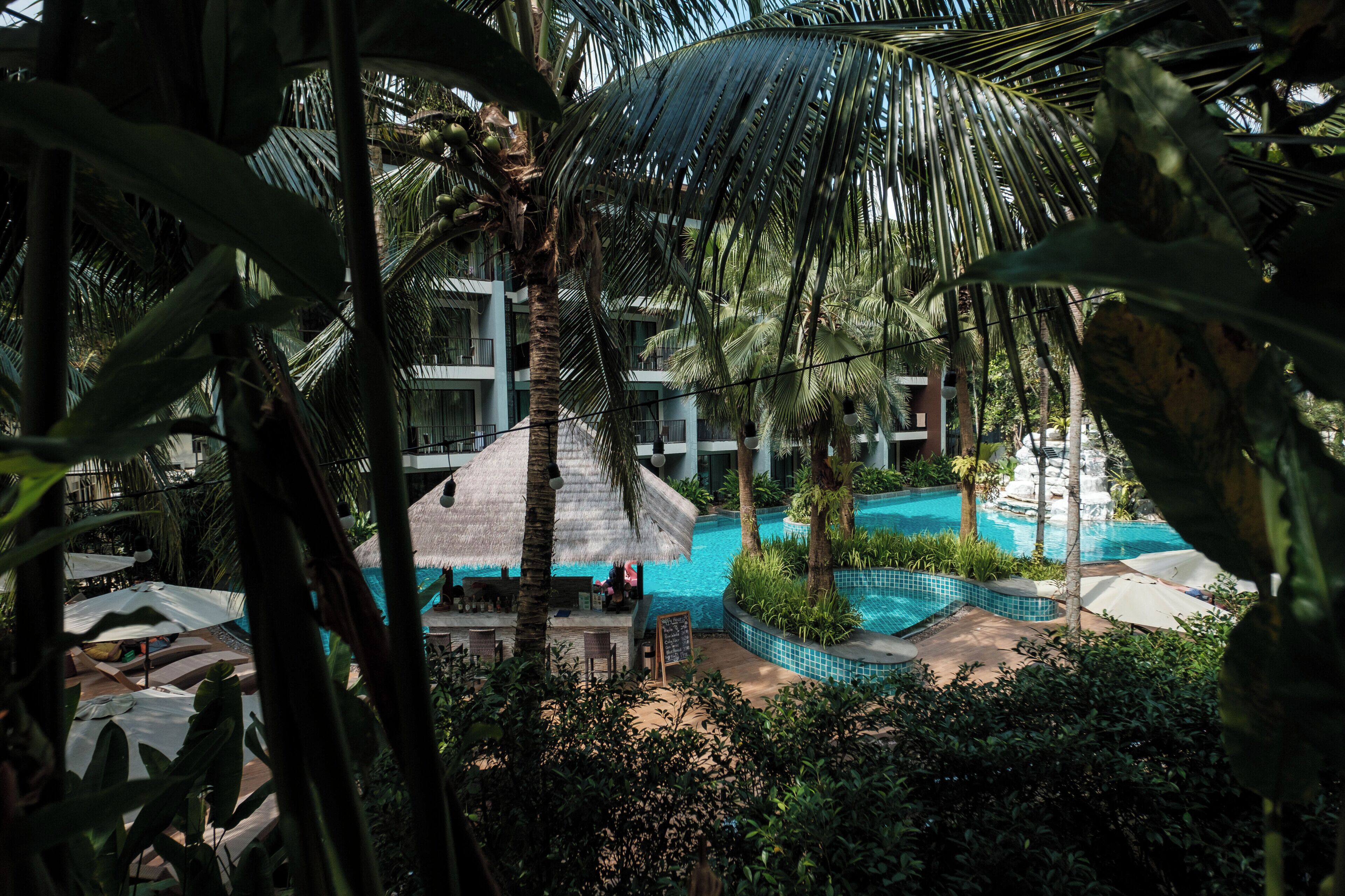 A pool area with palm trees, a thatched-roof structure, and a building in the background.