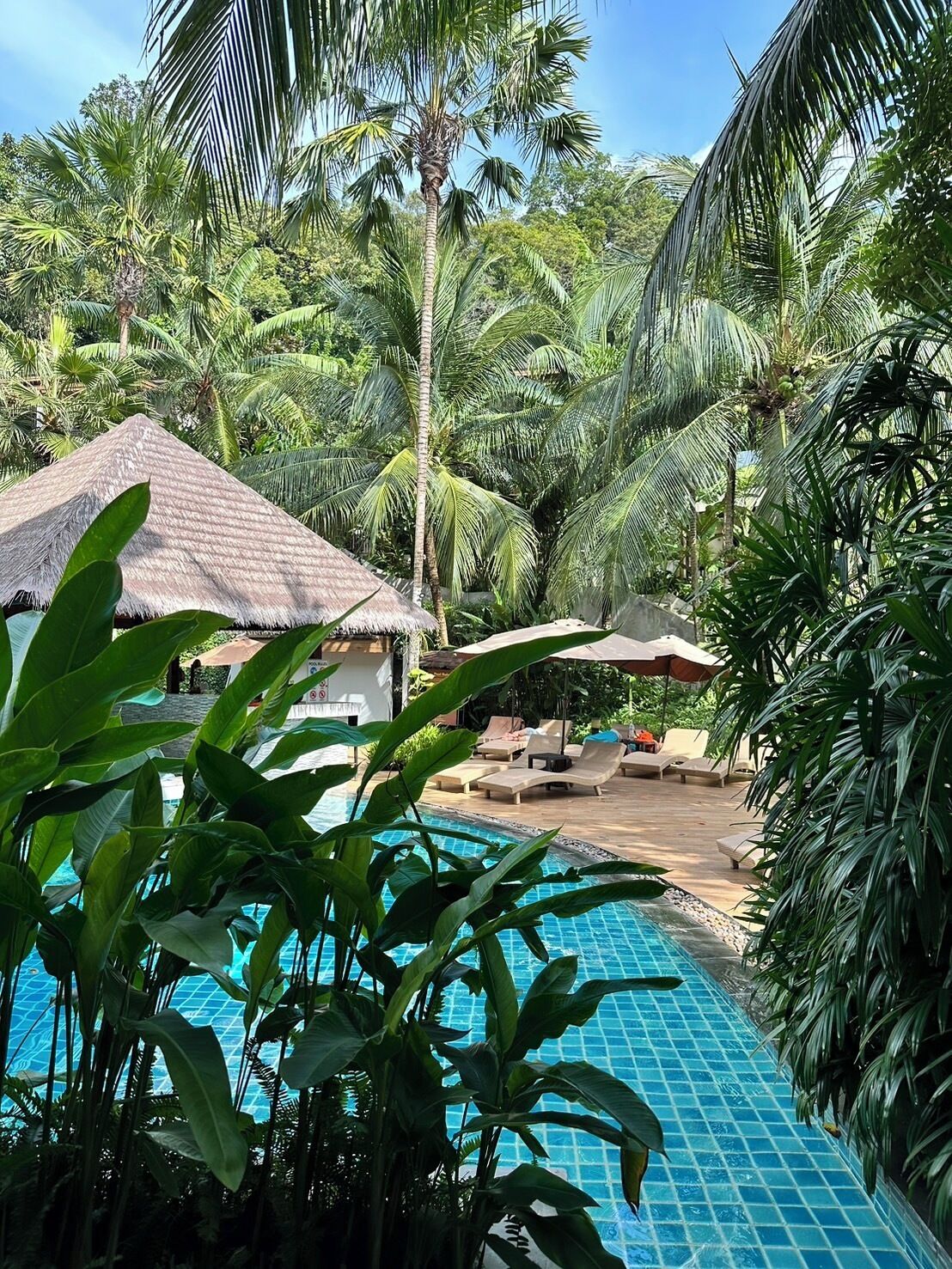 A pool area with lounge chairs and umbrellas, surrounded by palm trees and a thatched-roof structure.