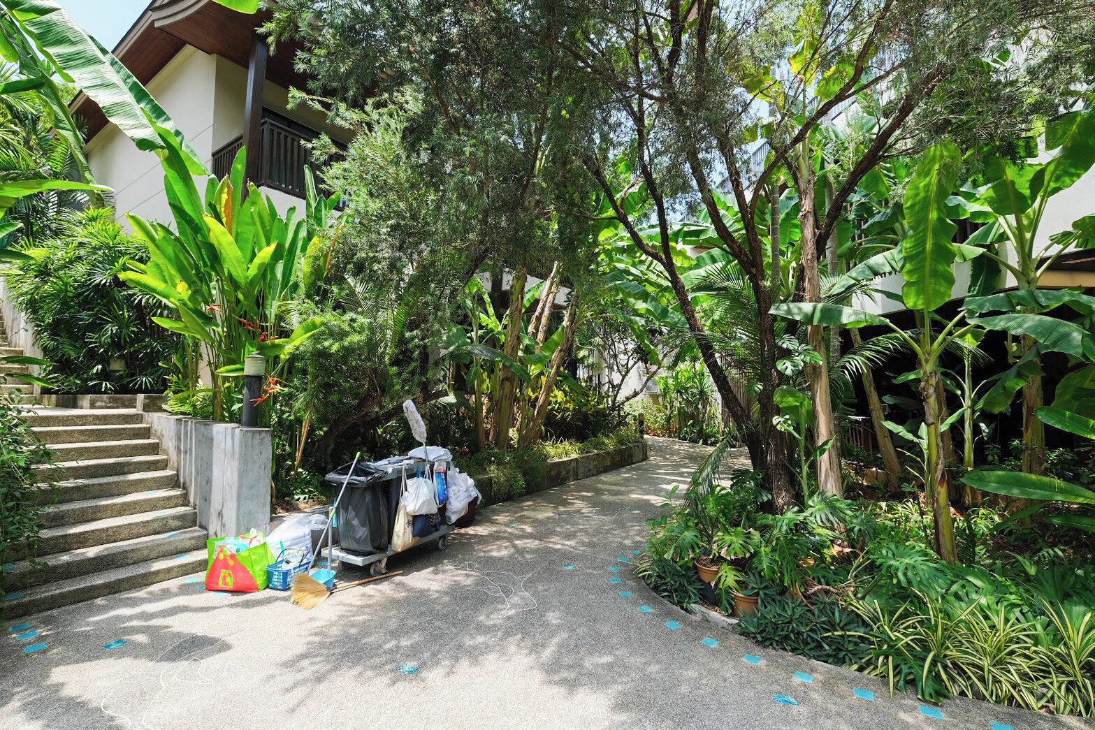 premier spa villa | 1 bedroom, egyptian cotton sheets, premium bedding, memory-foam beds