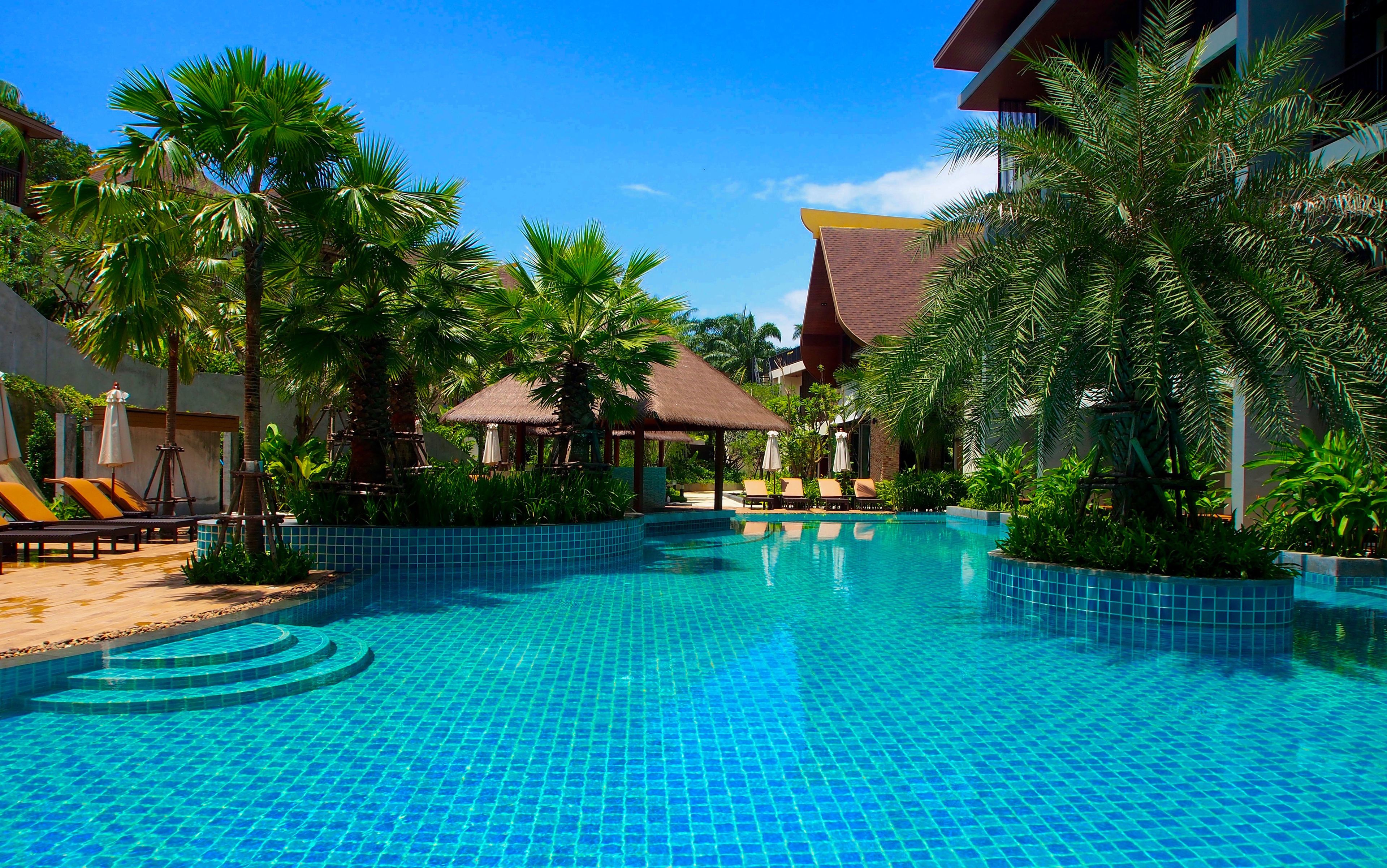 Una piscina al aire libre, sombrillas, tumbonas