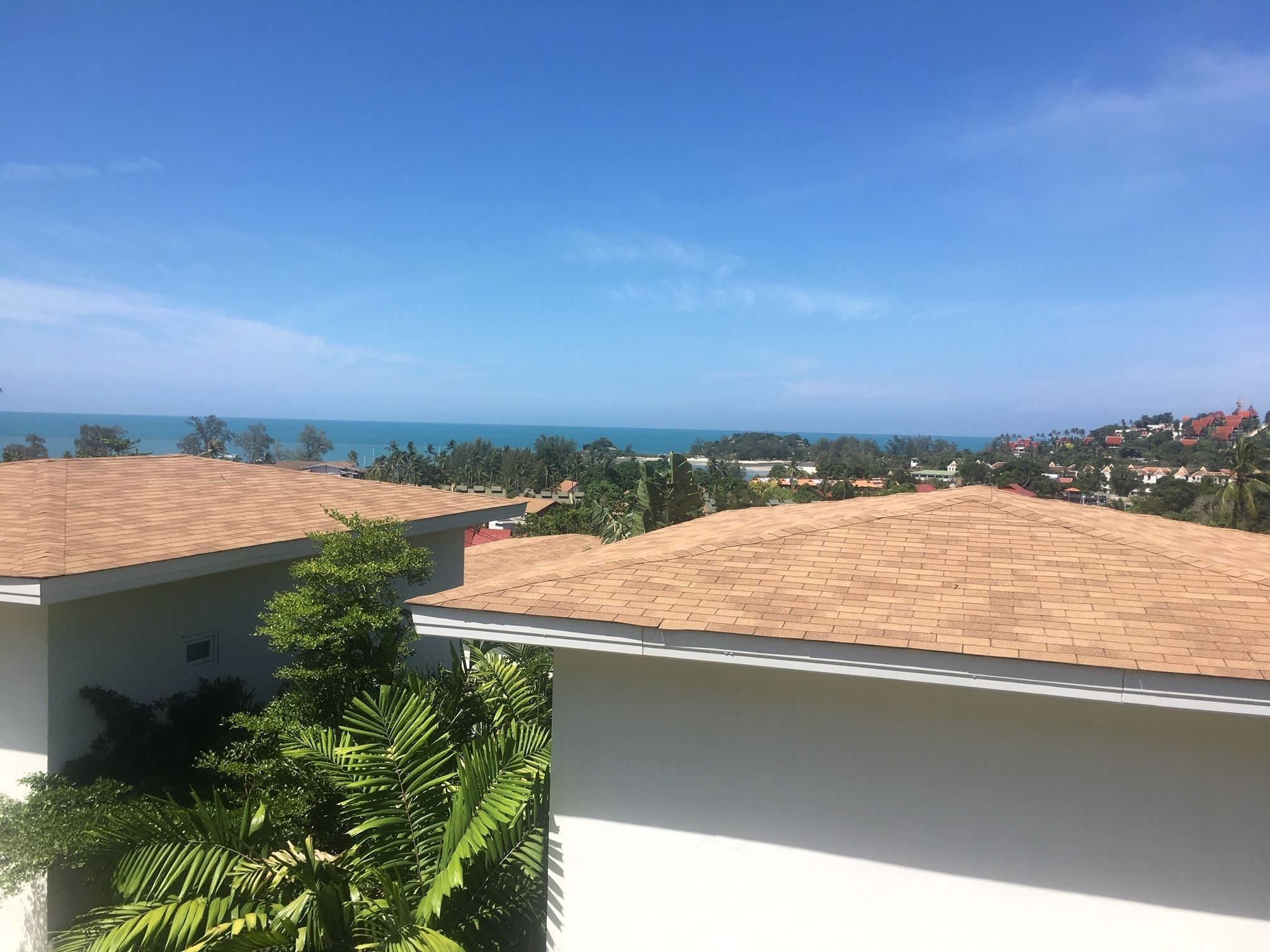 Photo - Samui Blue Orchid - Adult Only