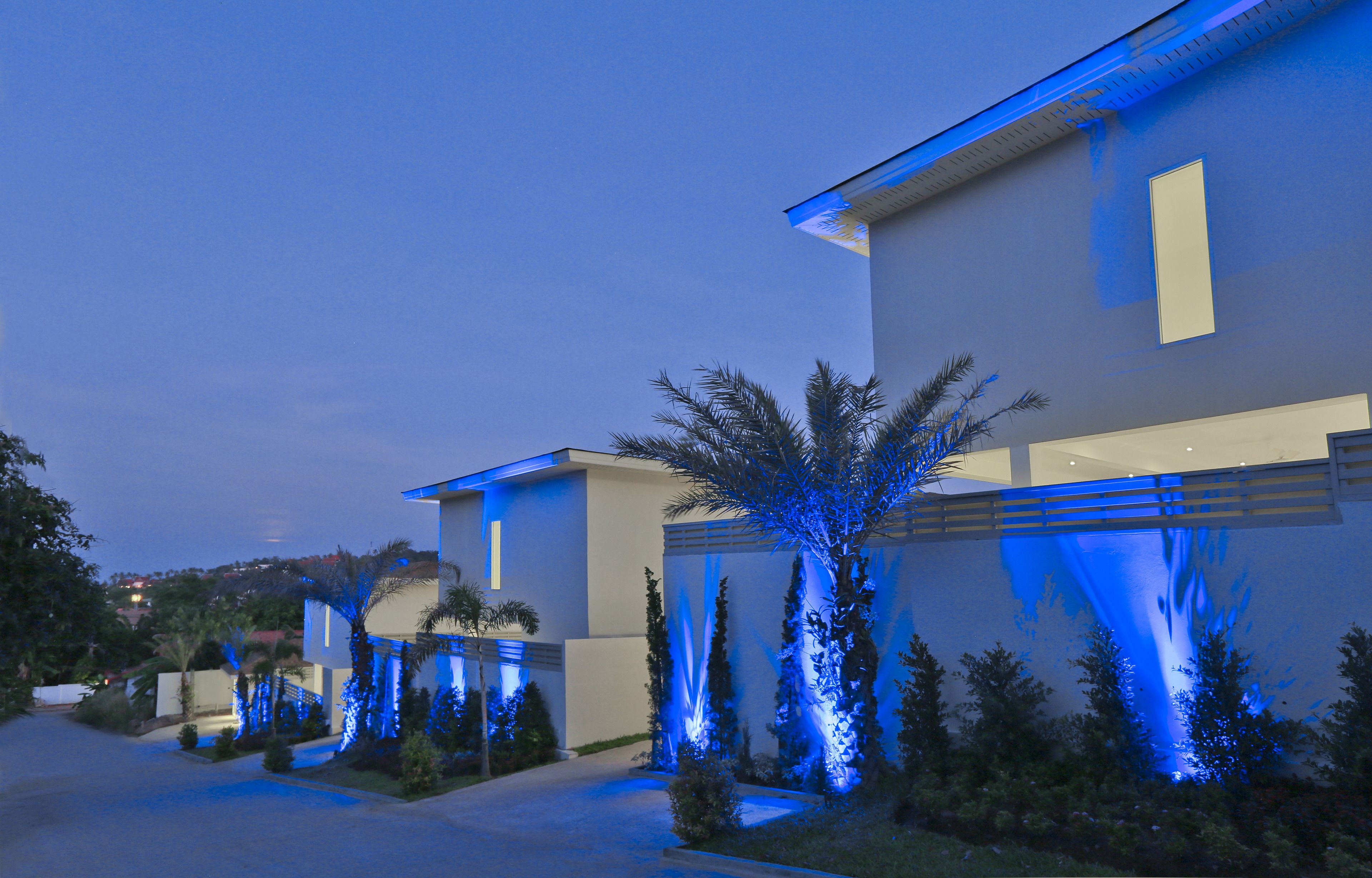 Photo - Samui Blue Orchid - Adult Only