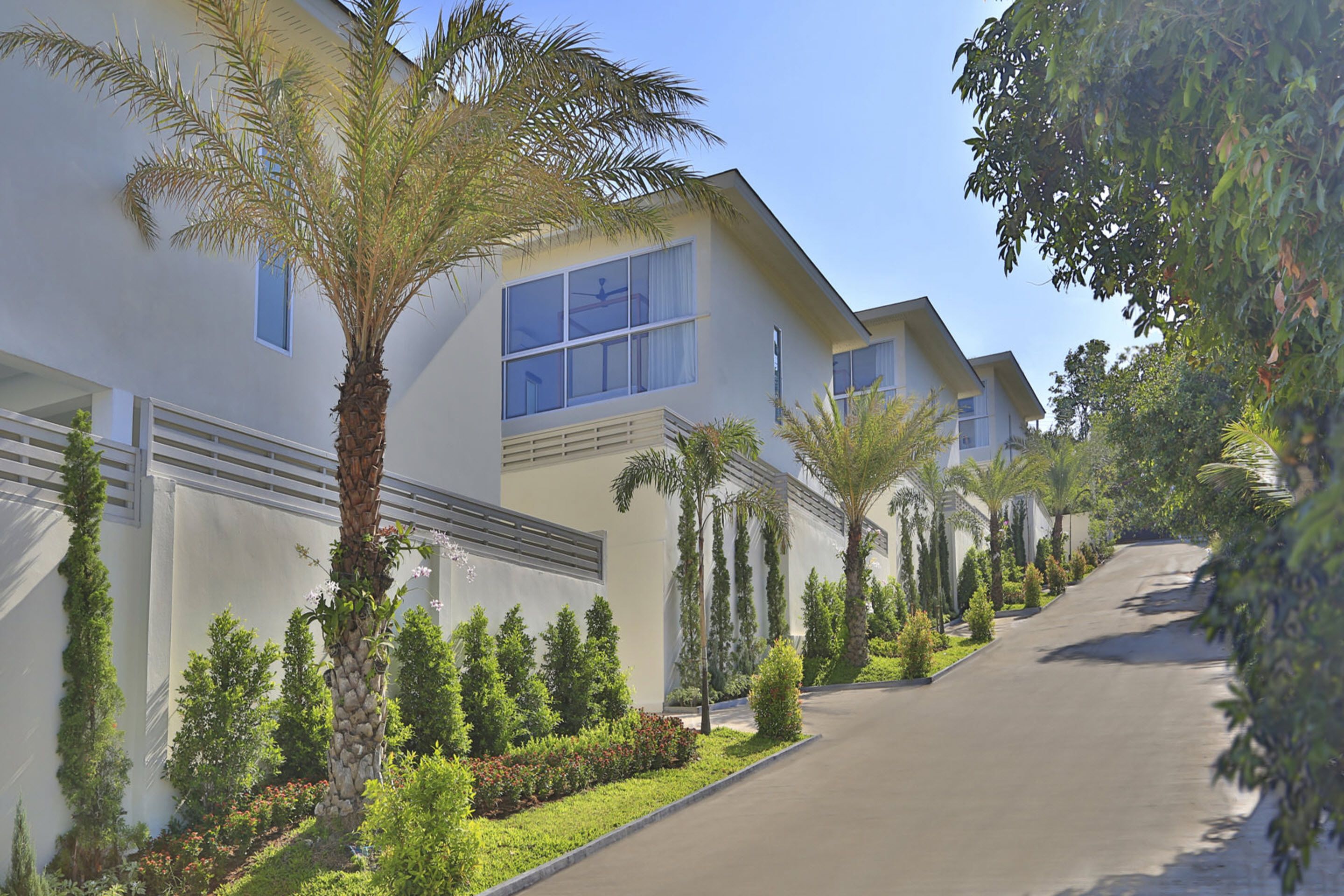 Photo - Samui Blue Orchid - Adult Only