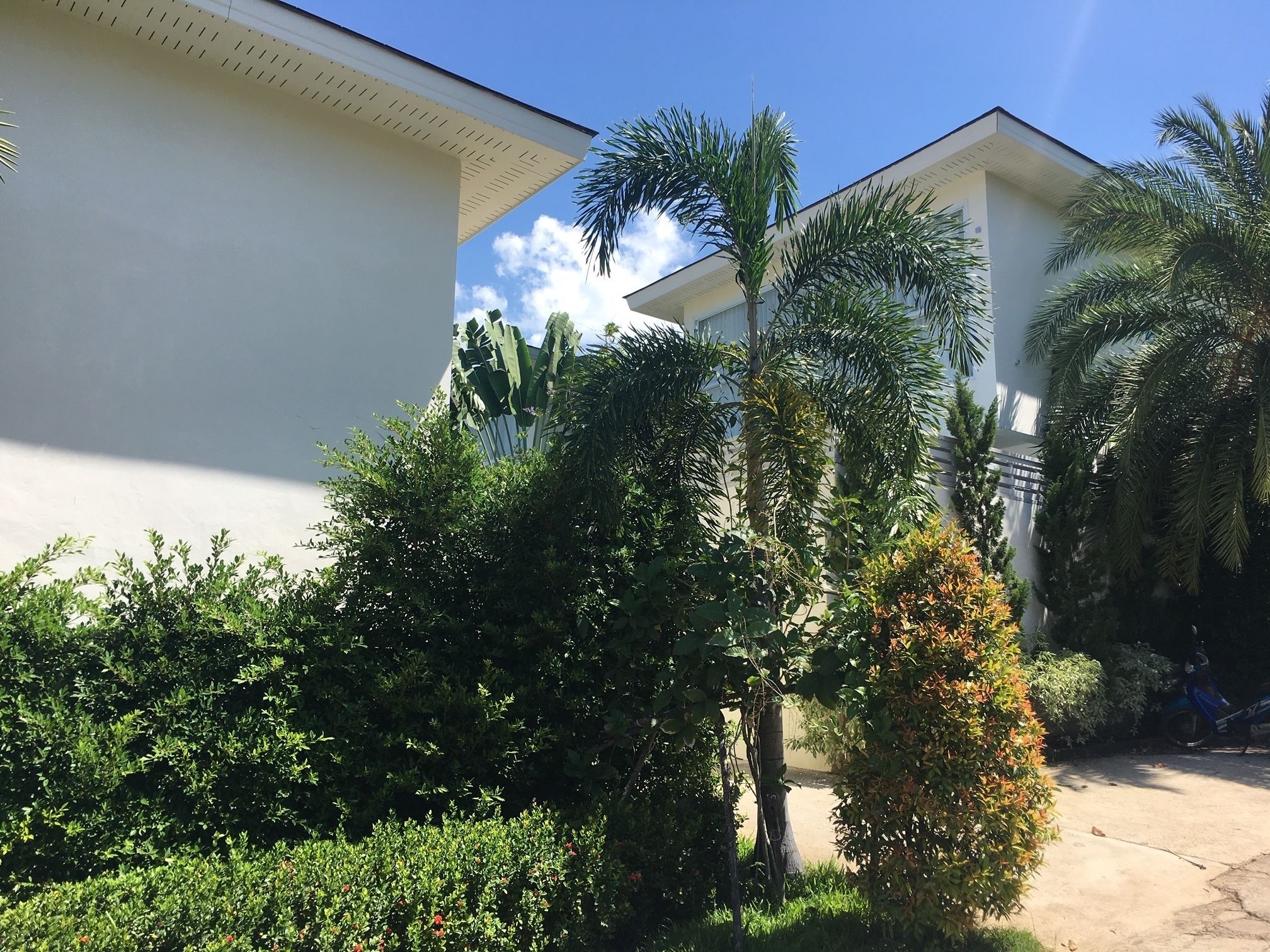 Photo - Samui Blue Orchid - Adult Only