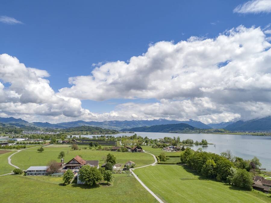 A lakeside village with houses and a path leading to the water.