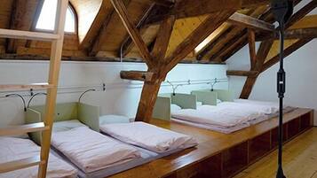 Gemeinsamer Schlafsaal, Gemeinschaftsbad (1 bed in a 10-bed dorm)