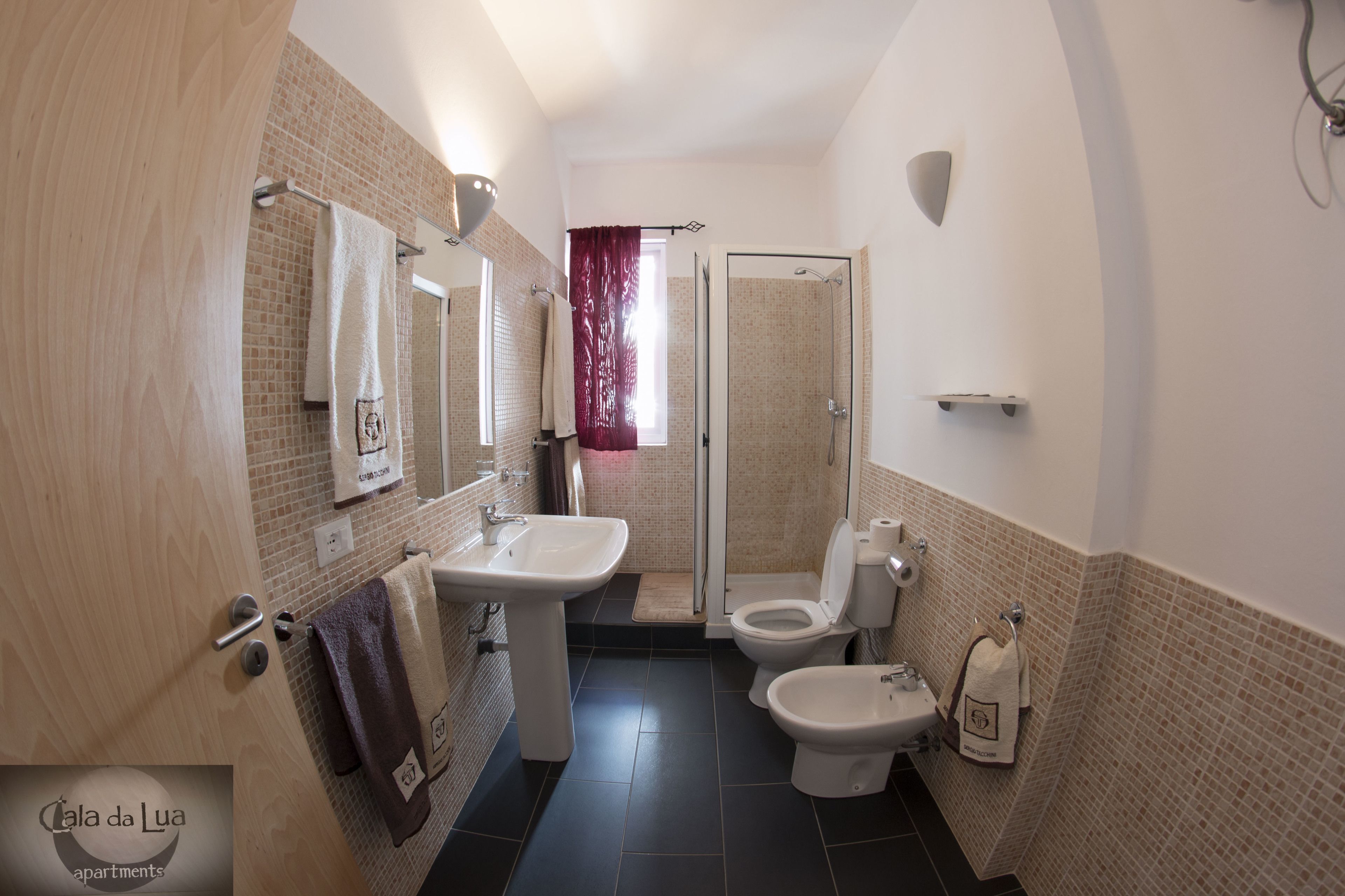 Une salle de bain avec douche, toilettes et lavabo.