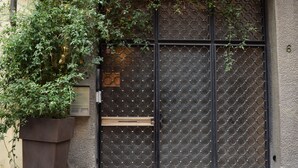 A metal gate with a geometric pattern, a potted plant, and a small mailbox on the wall.