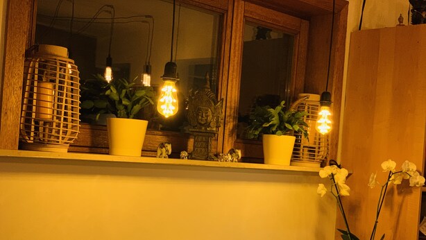 A window sill with potted plants, decorative items, and hanging light bulbs. - B&B Kookhai (Kluisbergen)