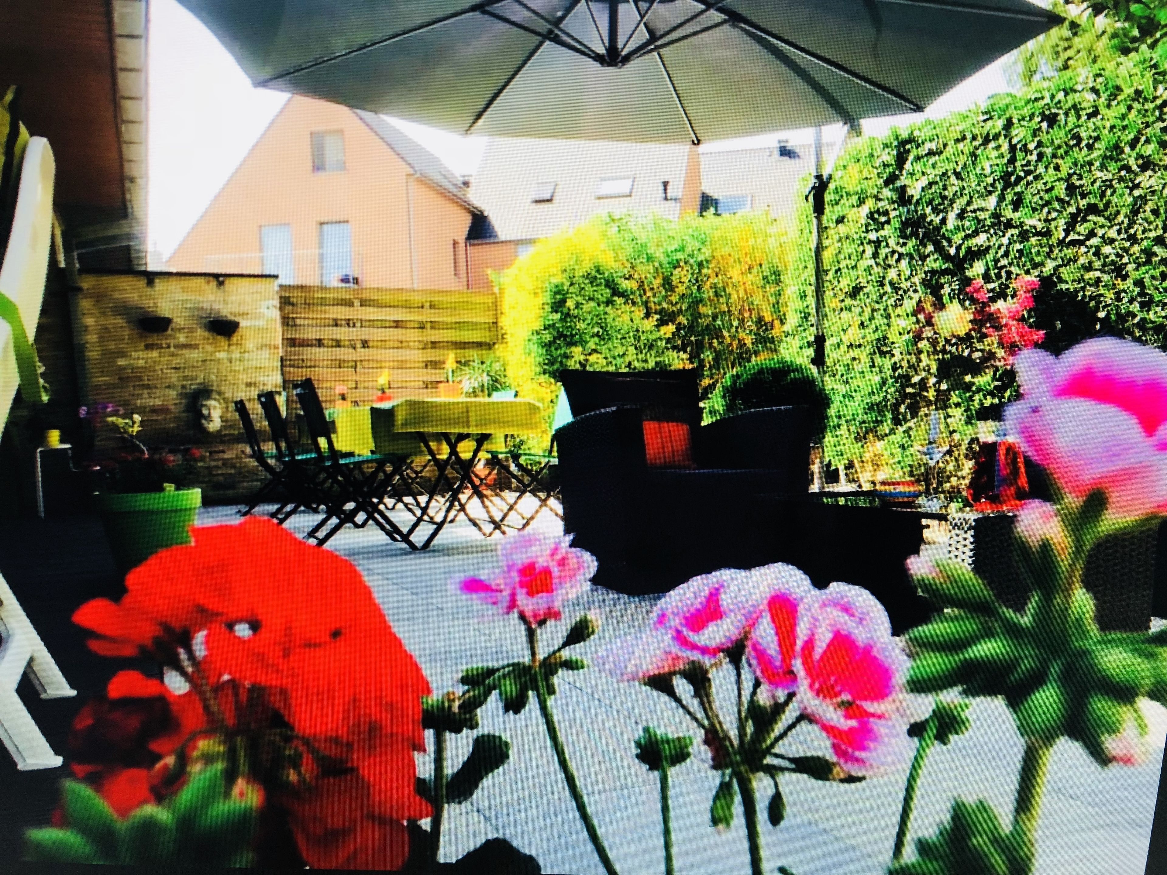 Aire de pique-nique/barbecue