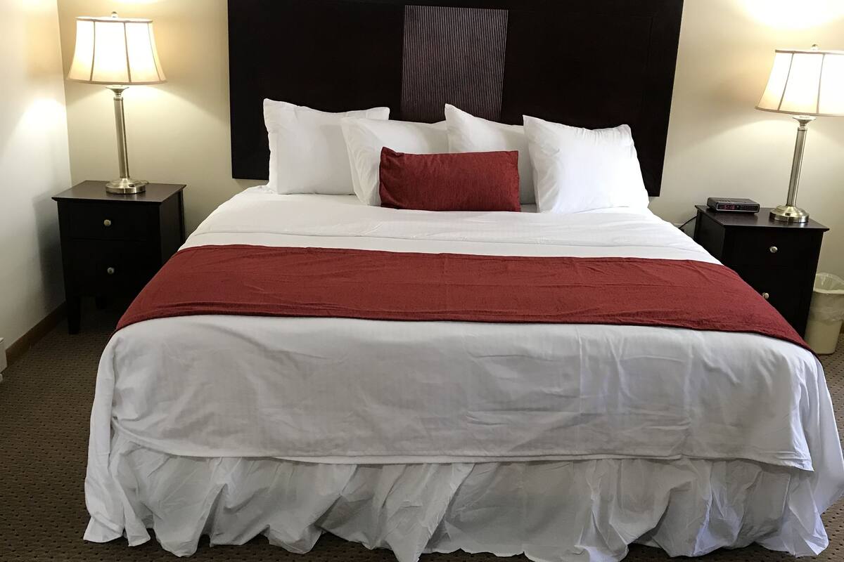 Exclusive Studio Suite, Kitchenette, Ground Floor | Desk, WiFi (free), bed sheets