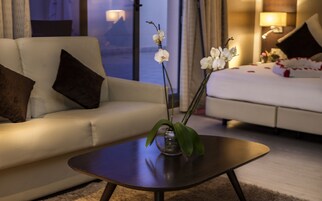 Minibar, caja de seguridad en la habitación y escritorio 