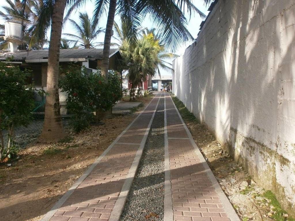 A paved pathway flanked by palm trees and a concrete wall, leading to a building with a sloped roof.