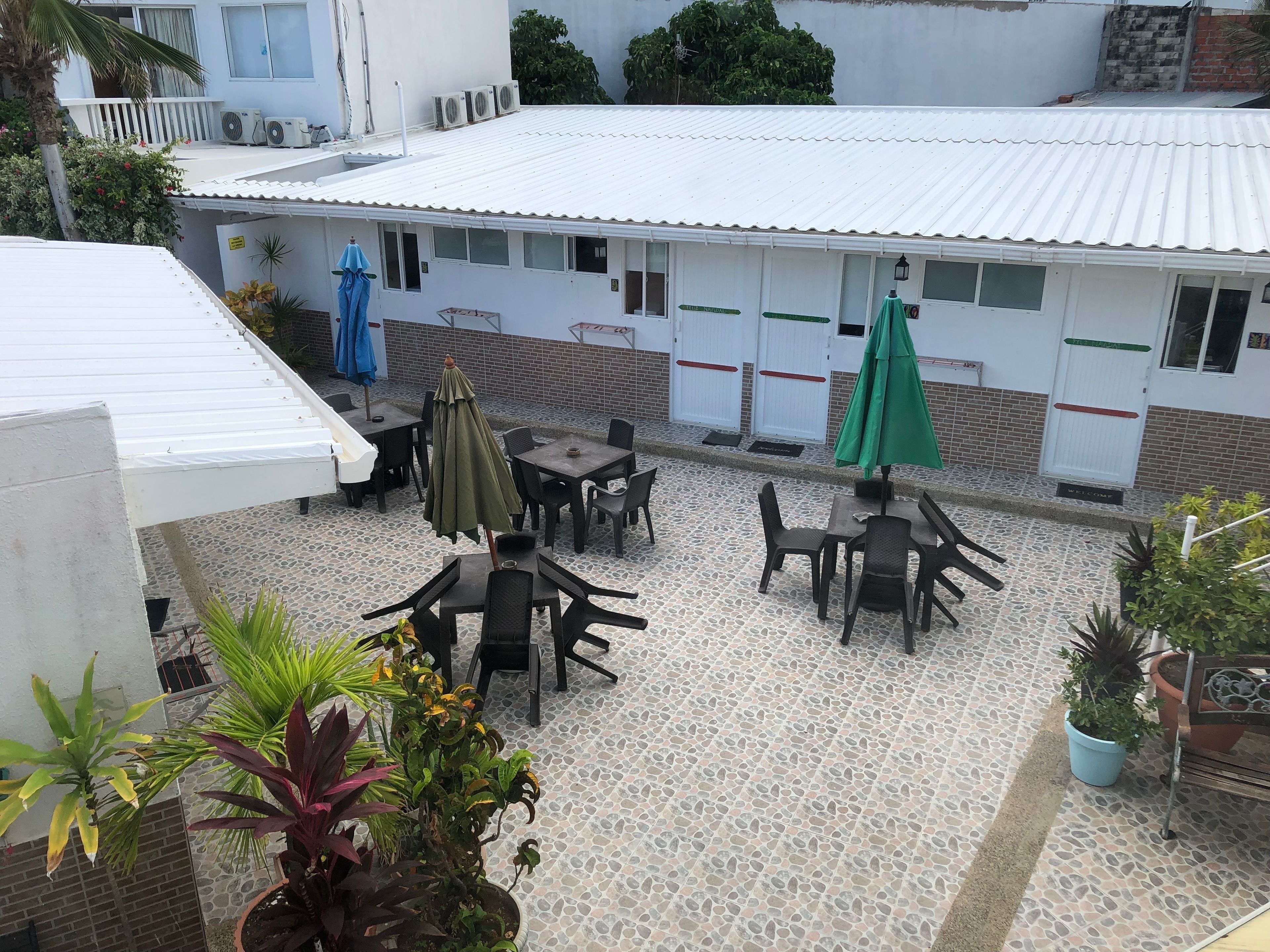 An outdoor patio area with tables and chairs, surrounded by potted plants and umbrellas.