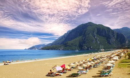 Beach nearby, motor boating