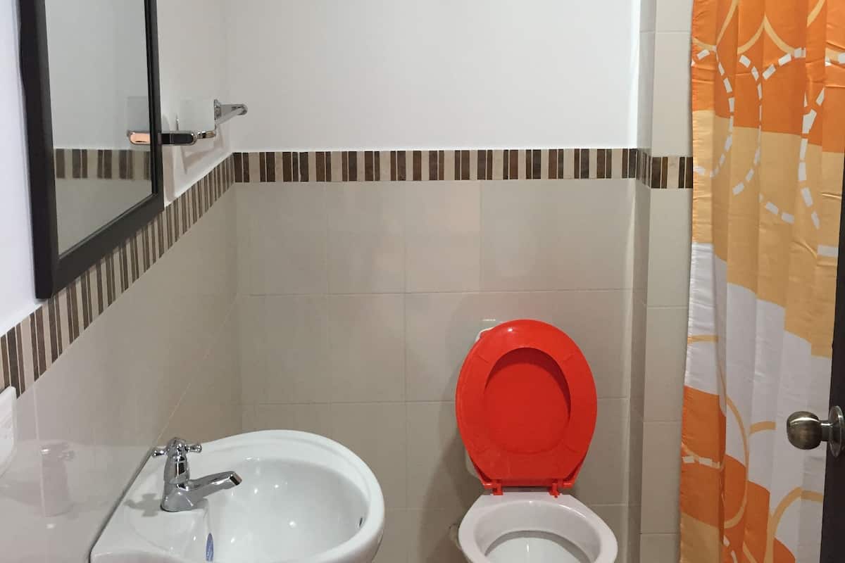 Chambre double | Salle de bain | Douche, séchoir à cheveux, serviettes fournies