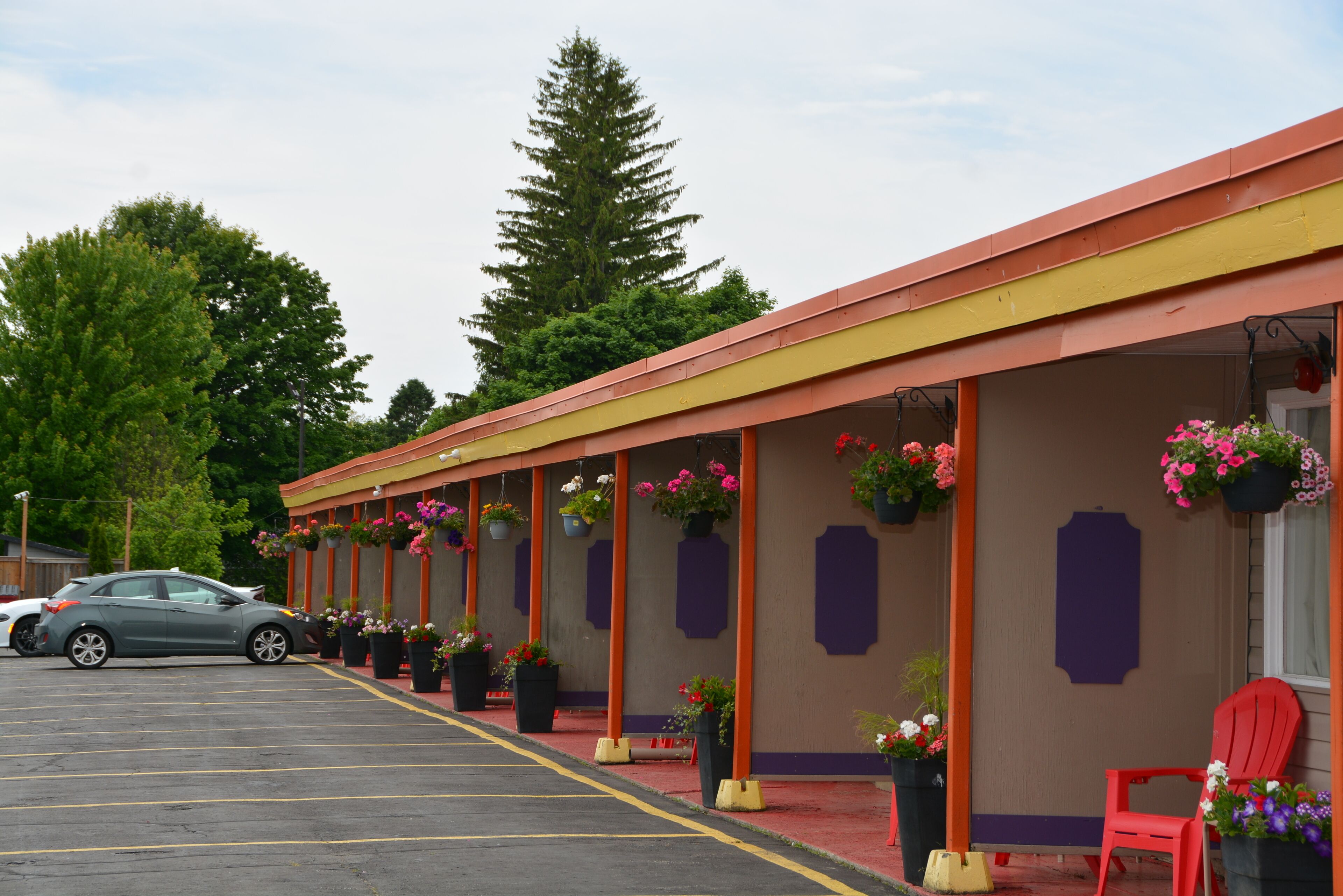 A motel with a row of rooms, each with a purple awning and potted plants.