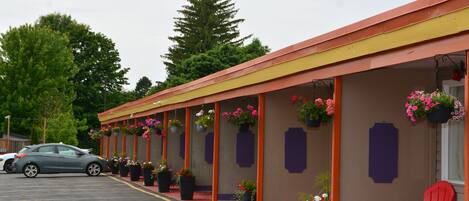 A motel with a row of rooms, each with a purple awning and potted plants.