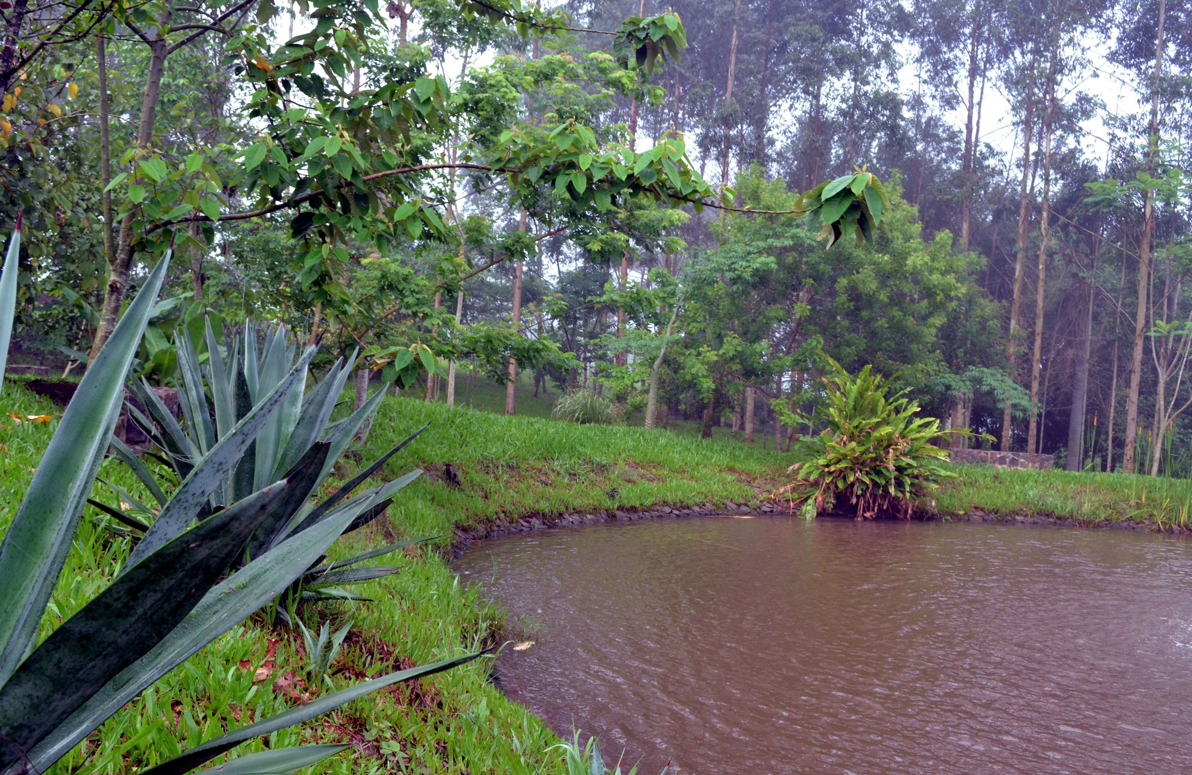 Foto - Pousada Guata Porã