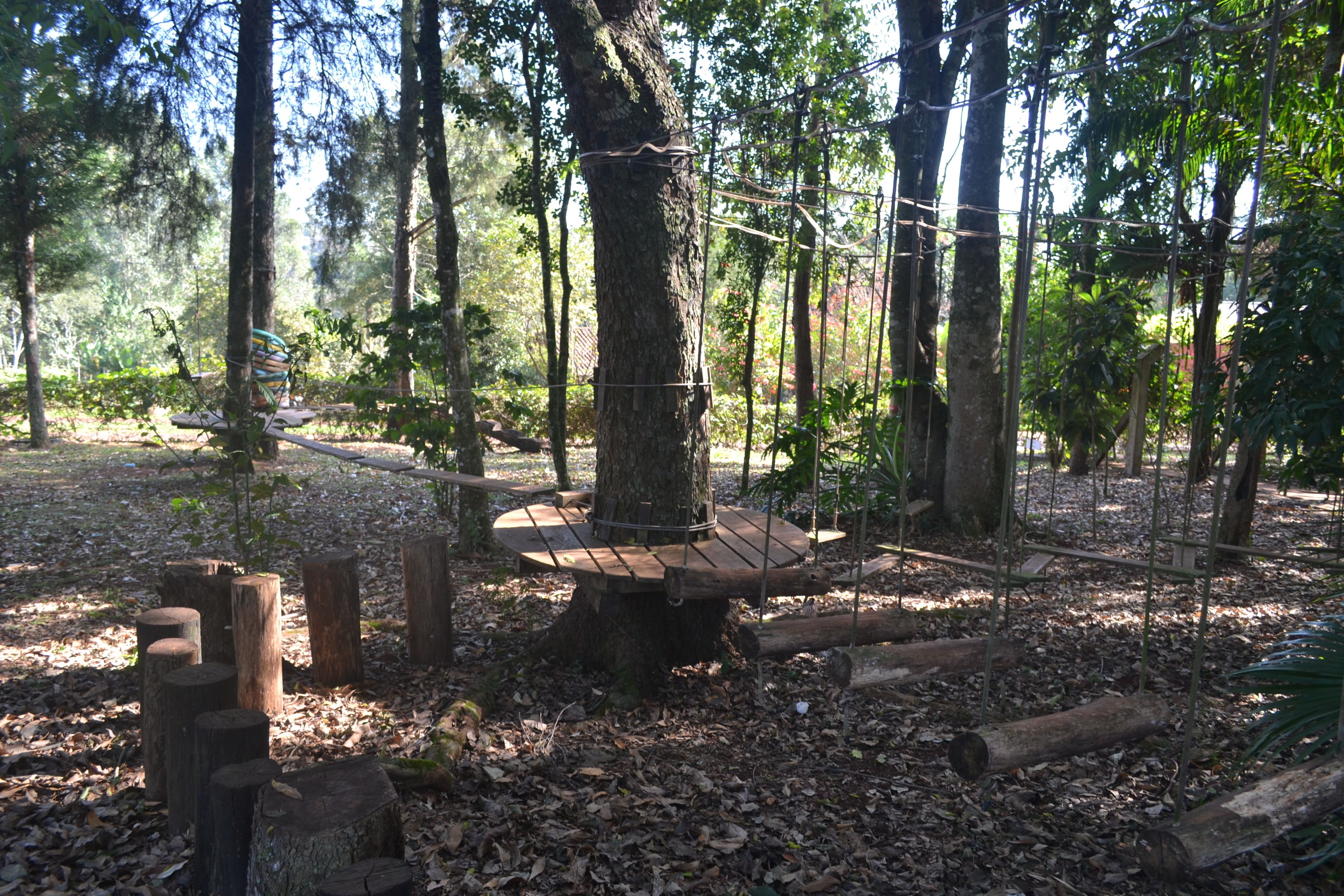 Foto - Pousada Guata Porã