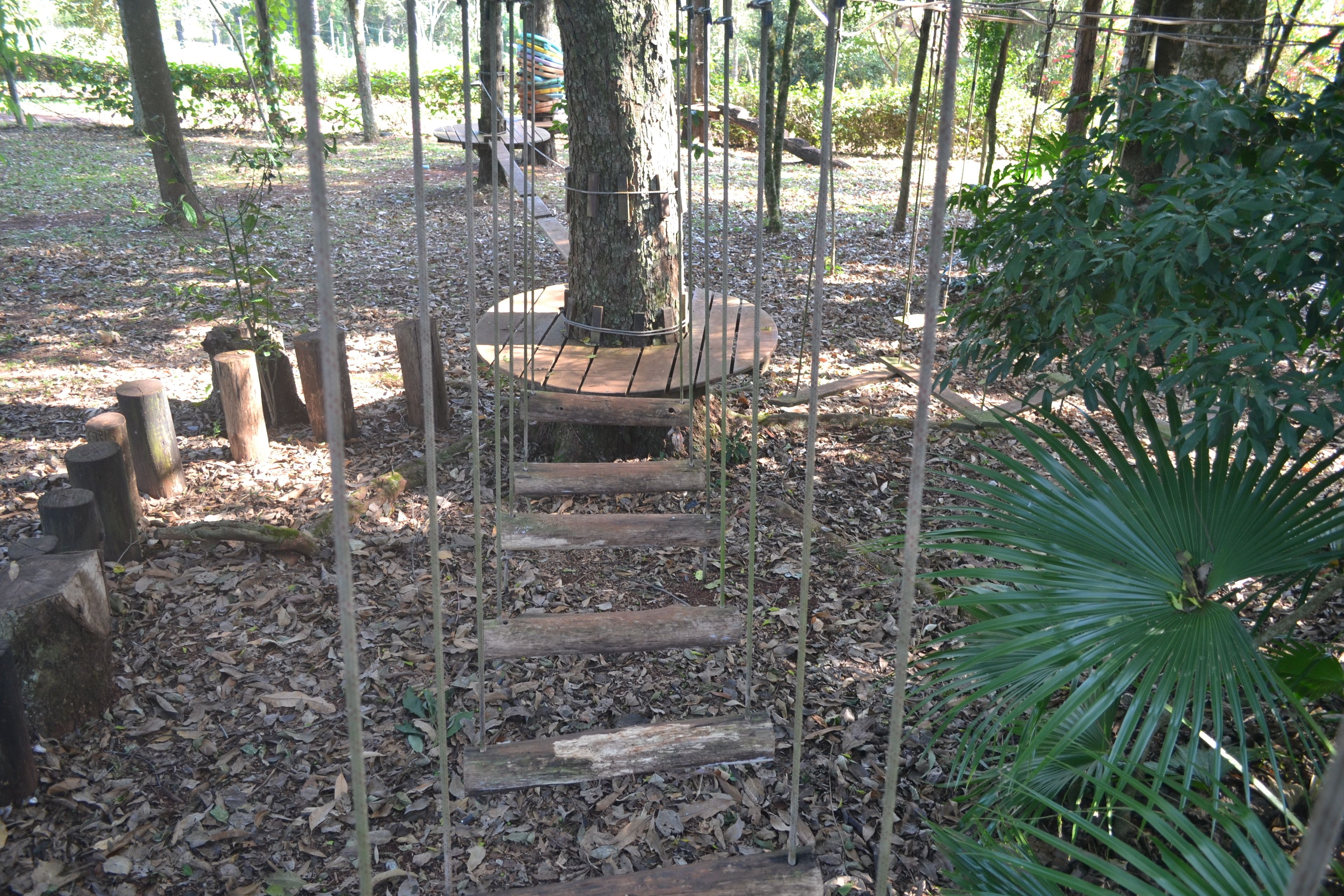 Foto - Pousada Guata Porã