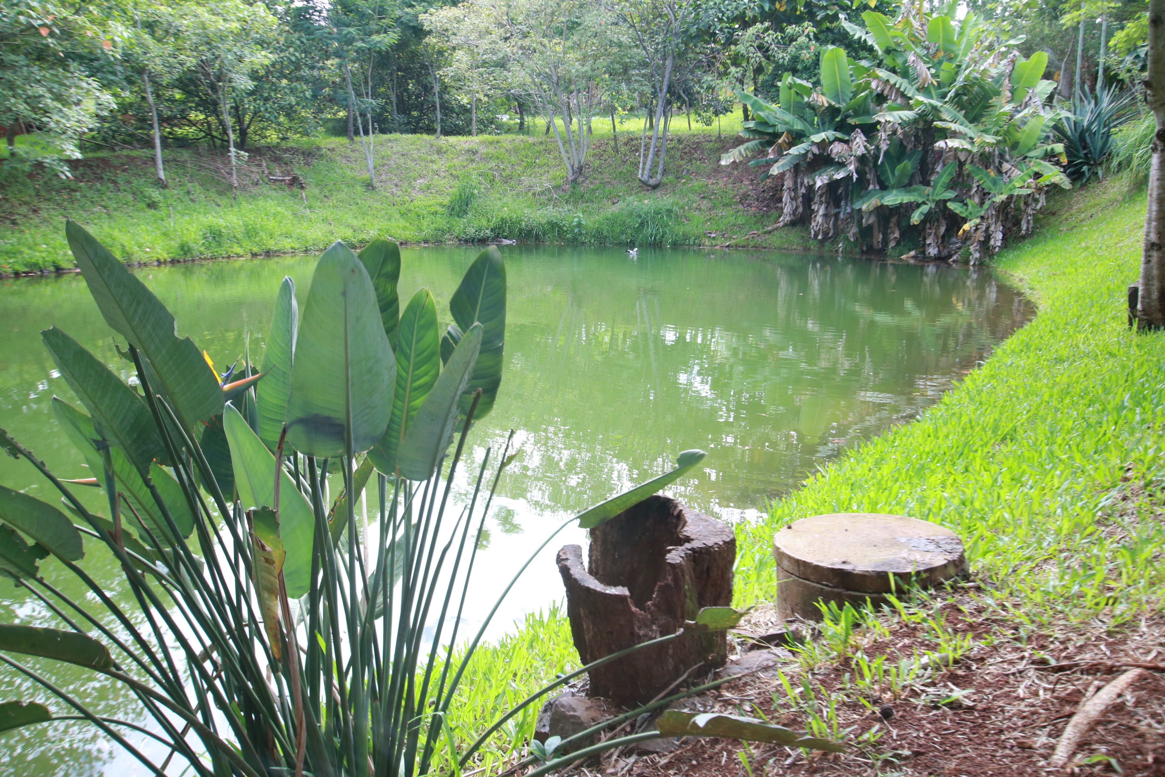 Foto - Pousada Guata Porã