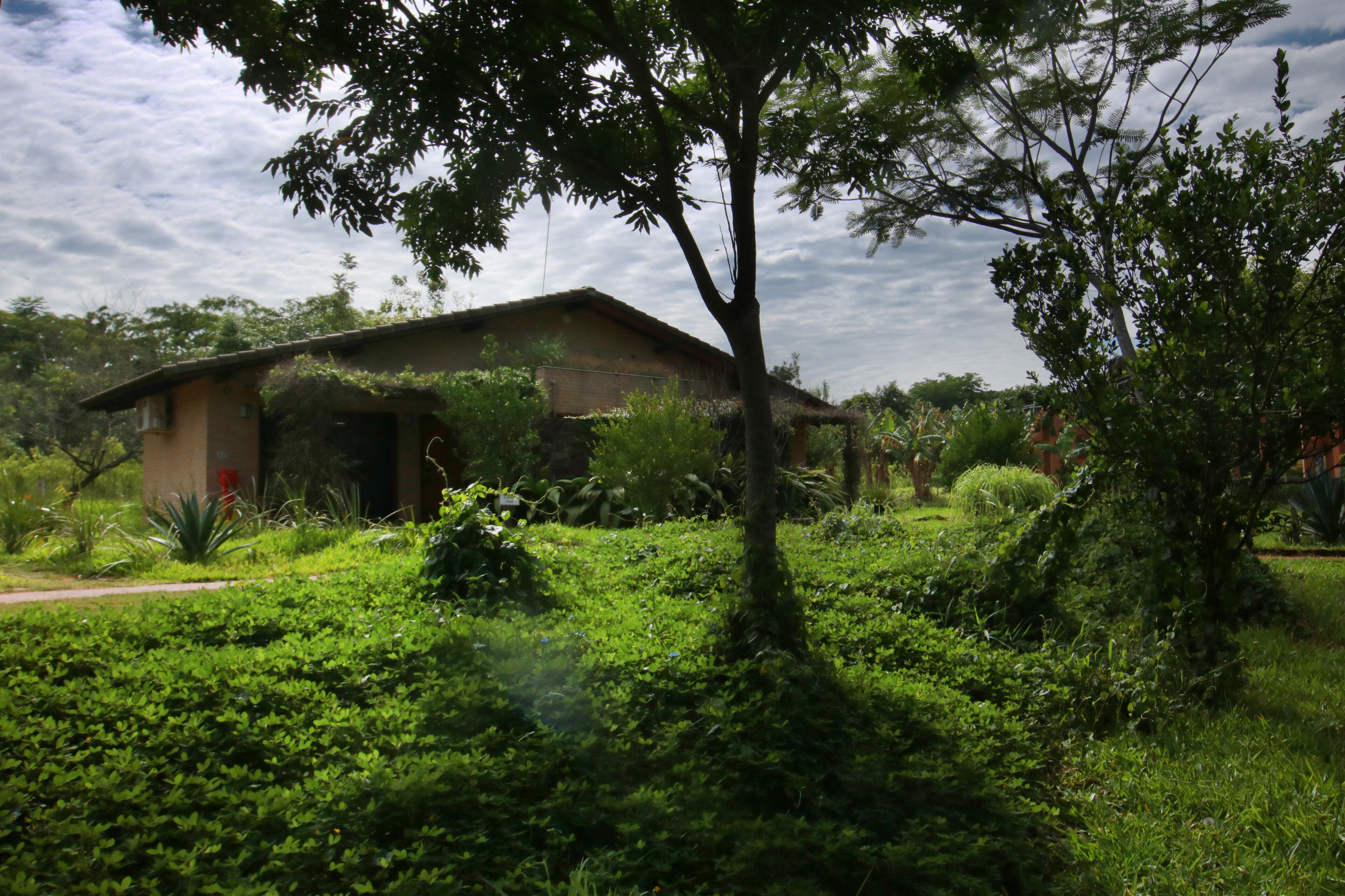 Foto - Pousada Guata Porã