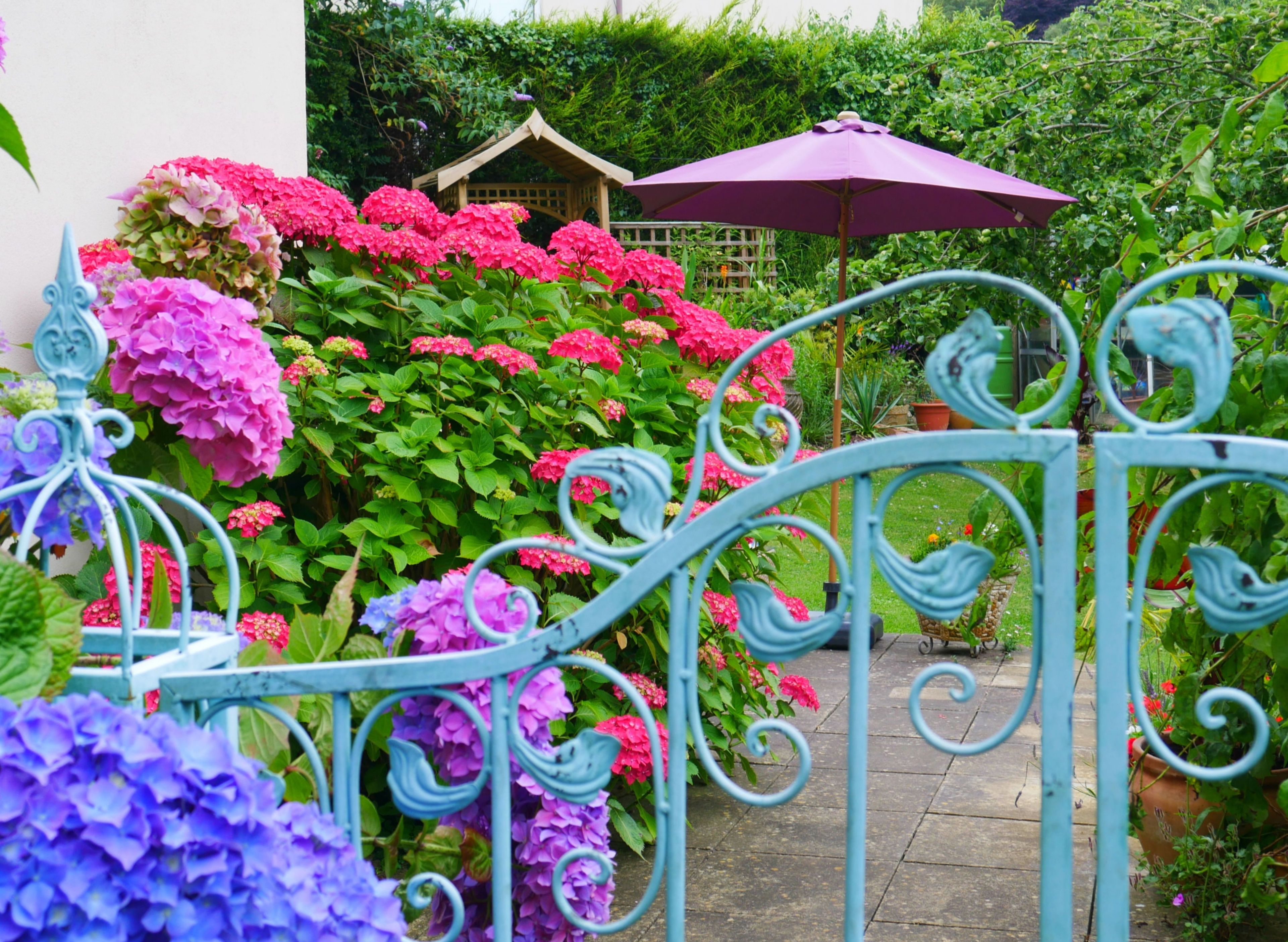 Un jardin avec une porte en métal, une tonnelle en bois et un parasol violet.