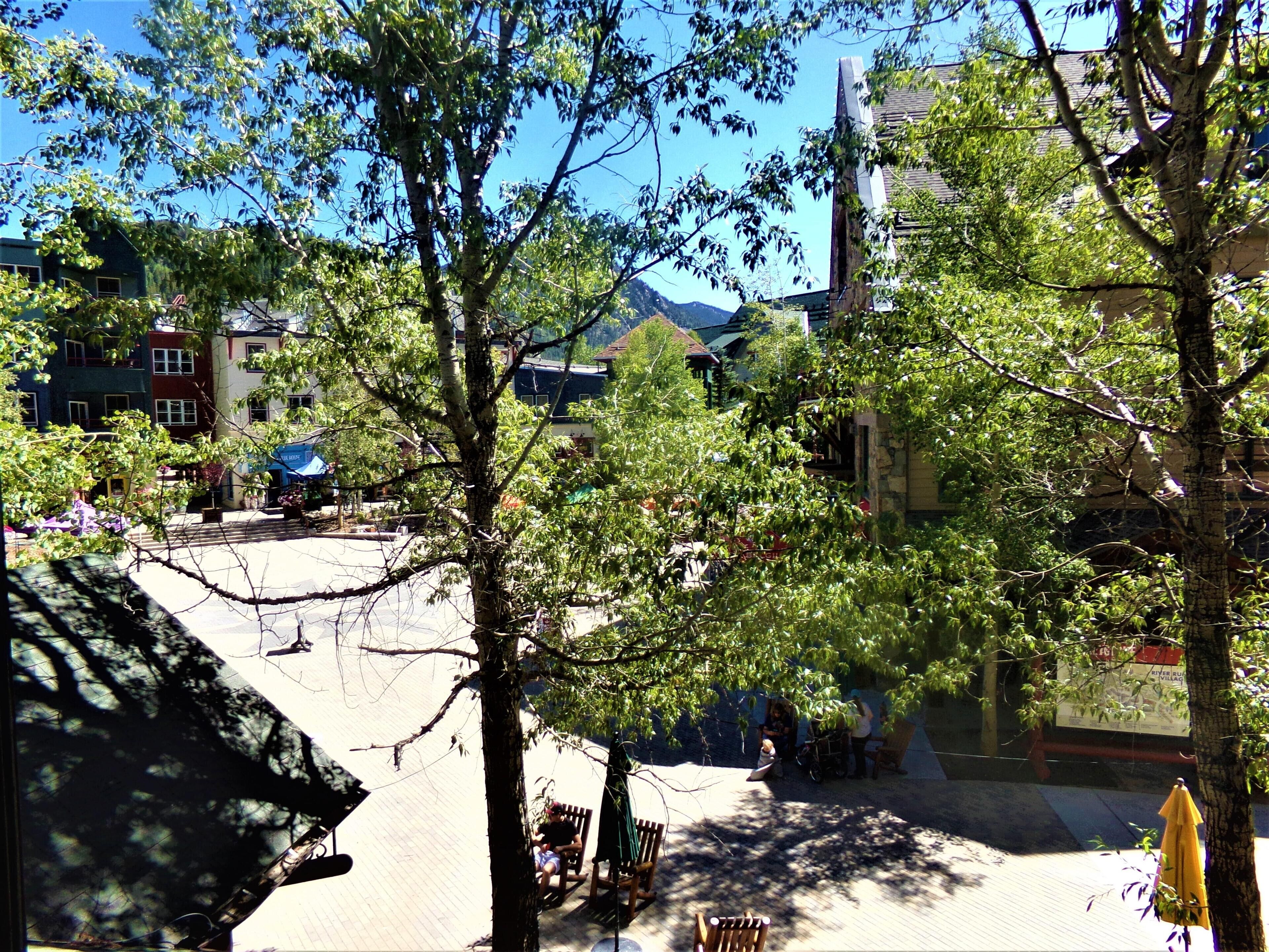 Une cour intérieure avec des arbres, des bancs et un bâtiment en arrière-plan.