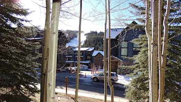 Leilighet, 1 queensize-seng med sovesofa (Arapahoe Lodge 1 Bed 1 Bath ALJP) | Overnattingsstedets uteområder