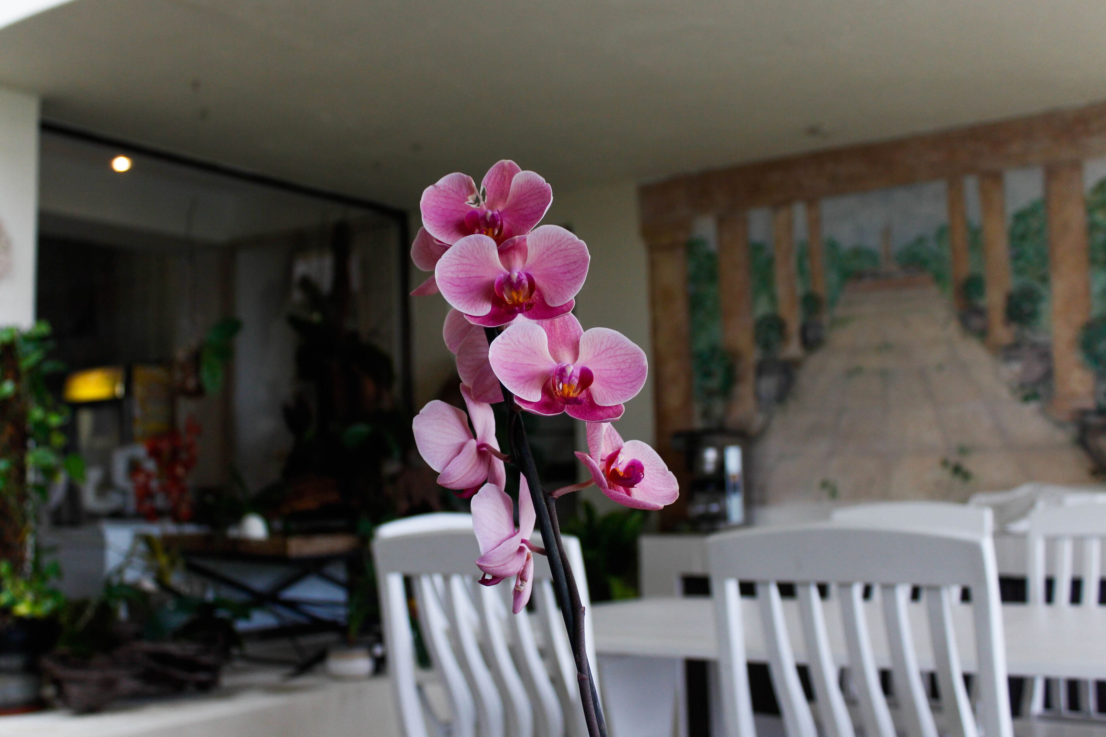 Una silla blanca y una mesa en una habitación con un mural en la pared.