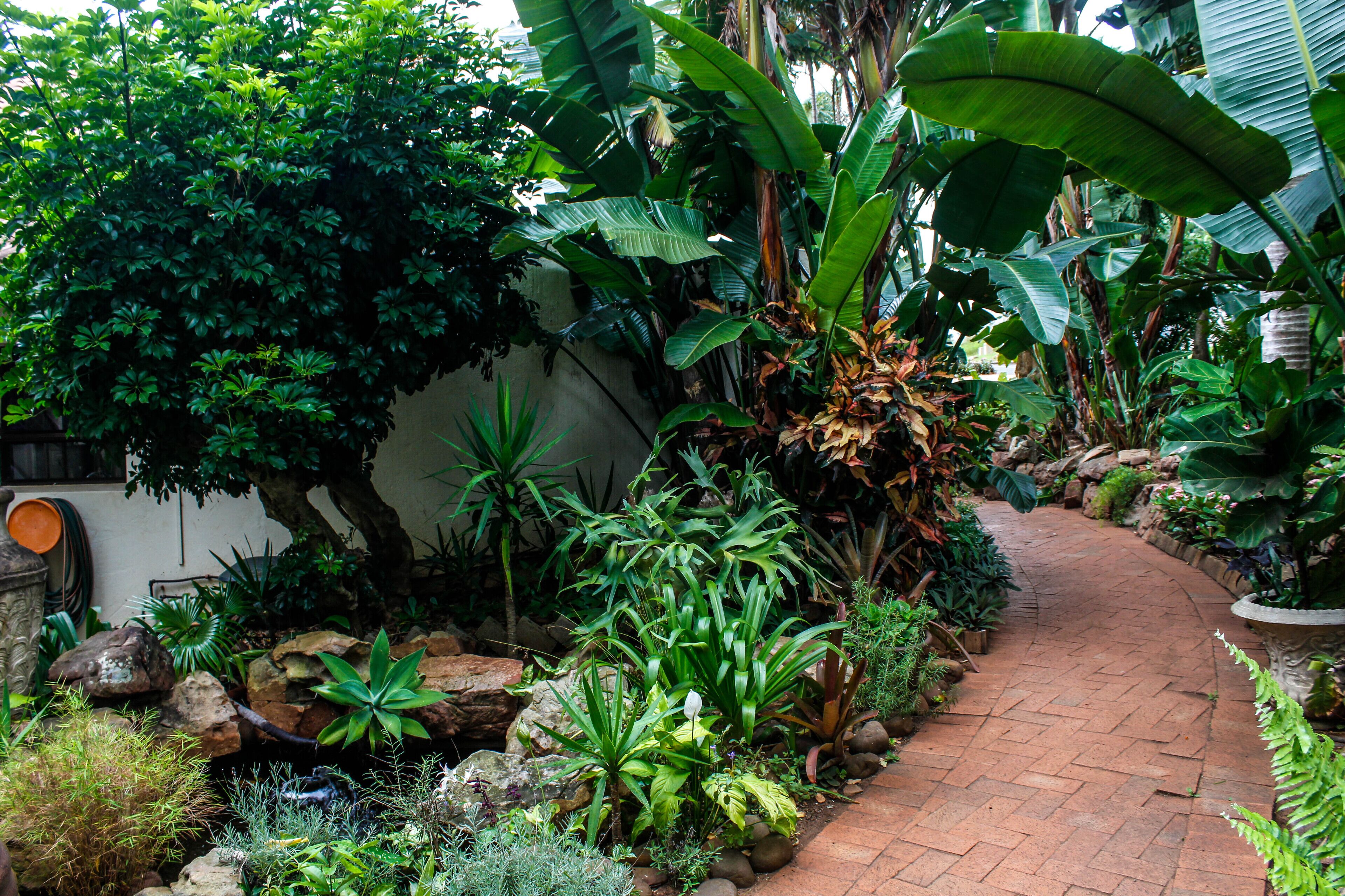 A garden pathway with various plants and rocks.