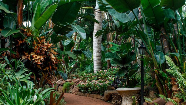 A brick pathway in a lush garden with various tropical plants and a stone bench.
