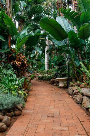 A brick pathway in a lush garden with various tropical plants and a stone bench. - La Dolce Vita Guest House (Umhlanga)