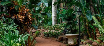 La Dolce Vita Guest House