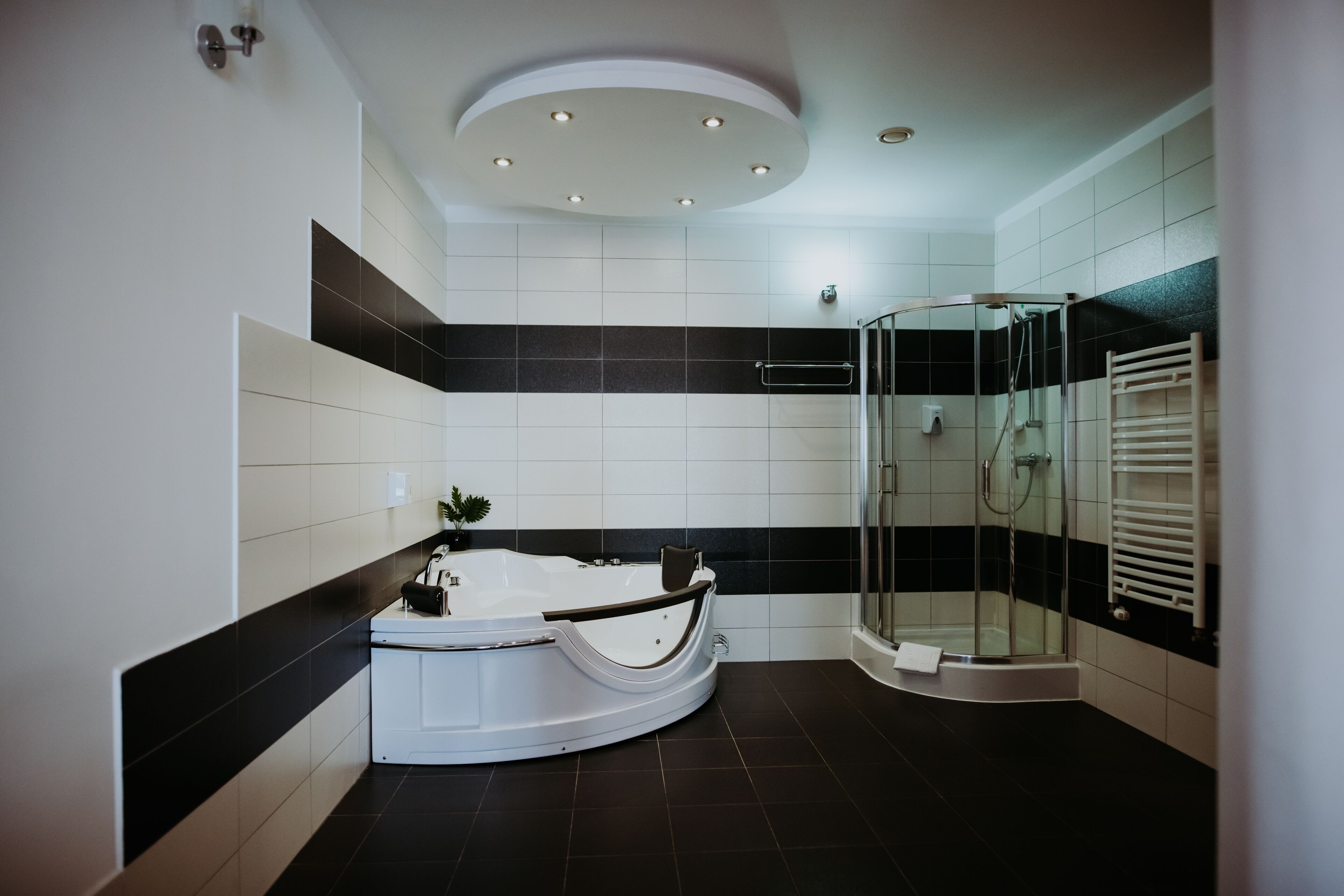 Appartement | Badkamer | Gratis toiletartikelen, een haardroger, handdoeken, zeep