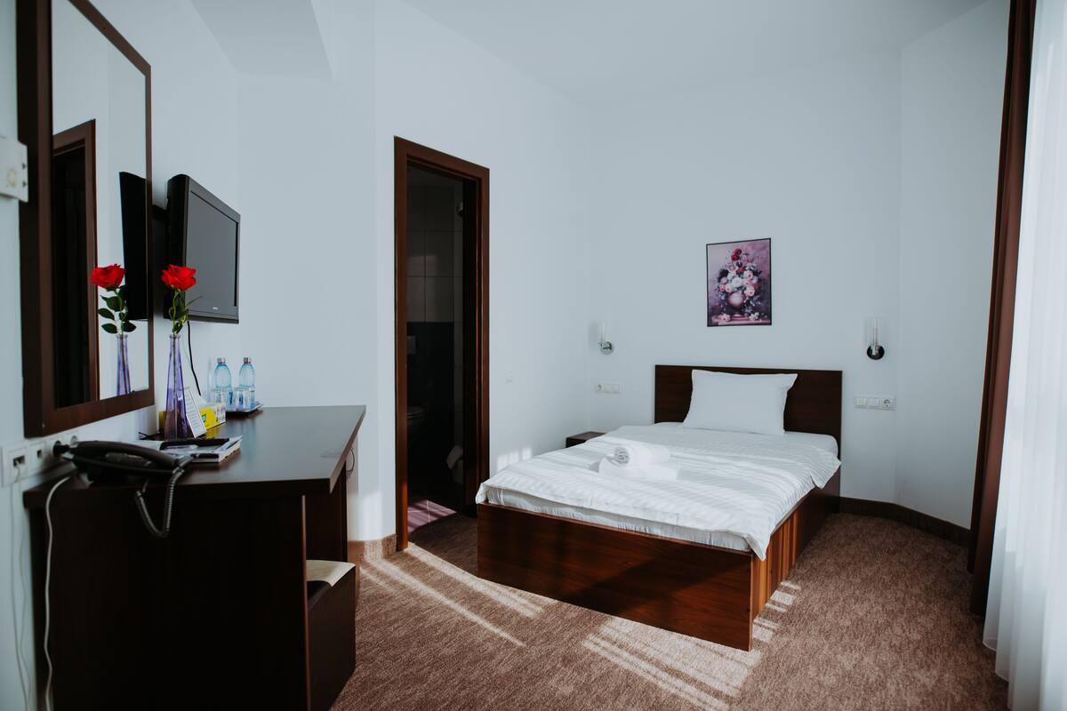 Une chambre d’hôtel avec un lit, un bureau avec un téléphone, un miroir, une télévision et un tableau au mur.